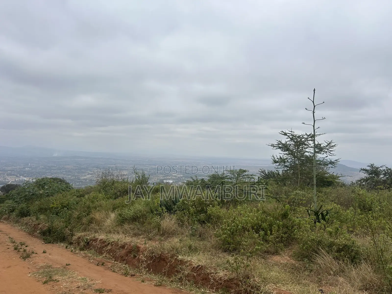 1 Acre Mua Hills Kitanga in Mua Hills