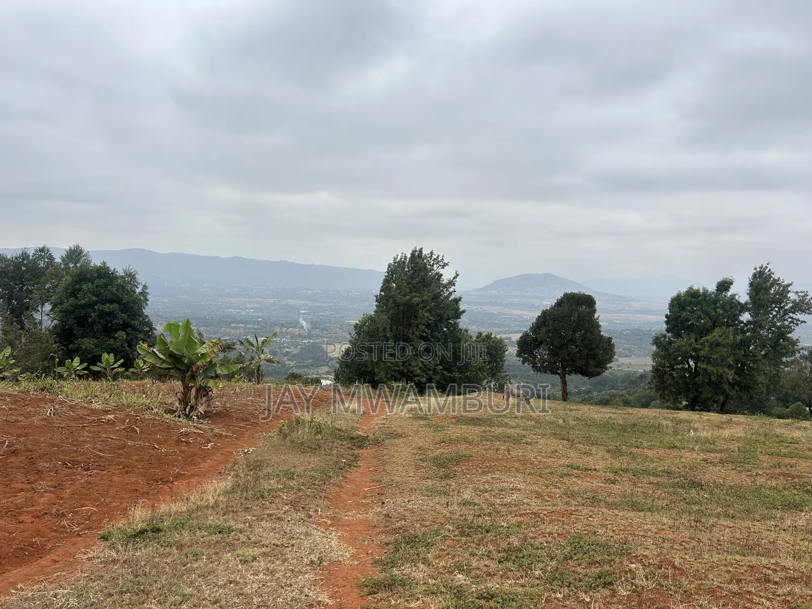 Five Acres Kitanga Mua Hills in Mua Hills