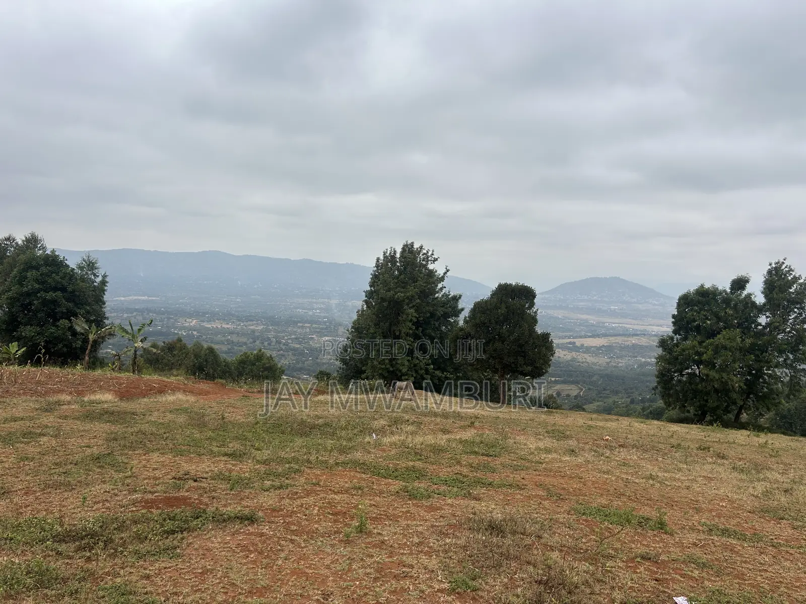 Five Acres Kitanga Mua Hills in Mua Hills