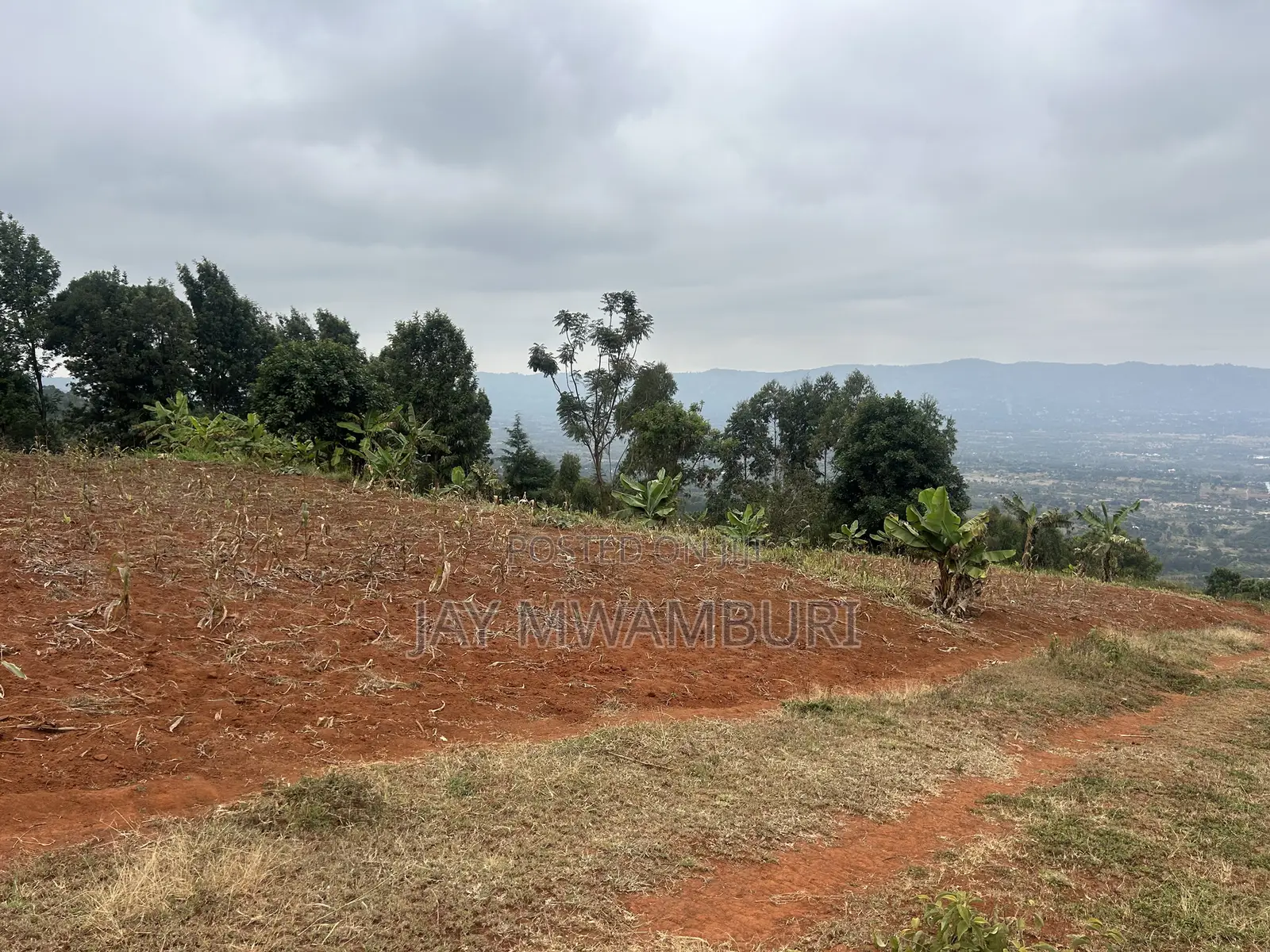Five Acres Kitanga Mua Hills in Mua Hills