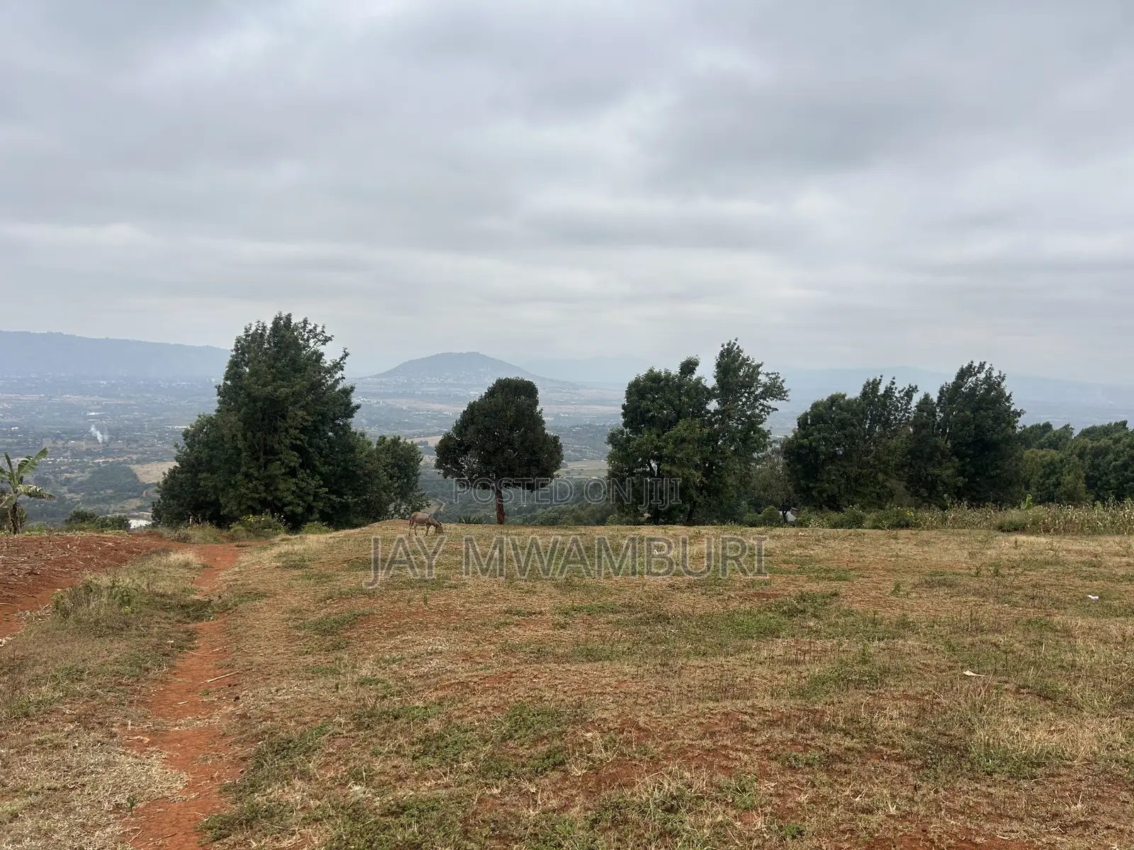 Five Acres Kitanga Mua Hills in Mua Hills