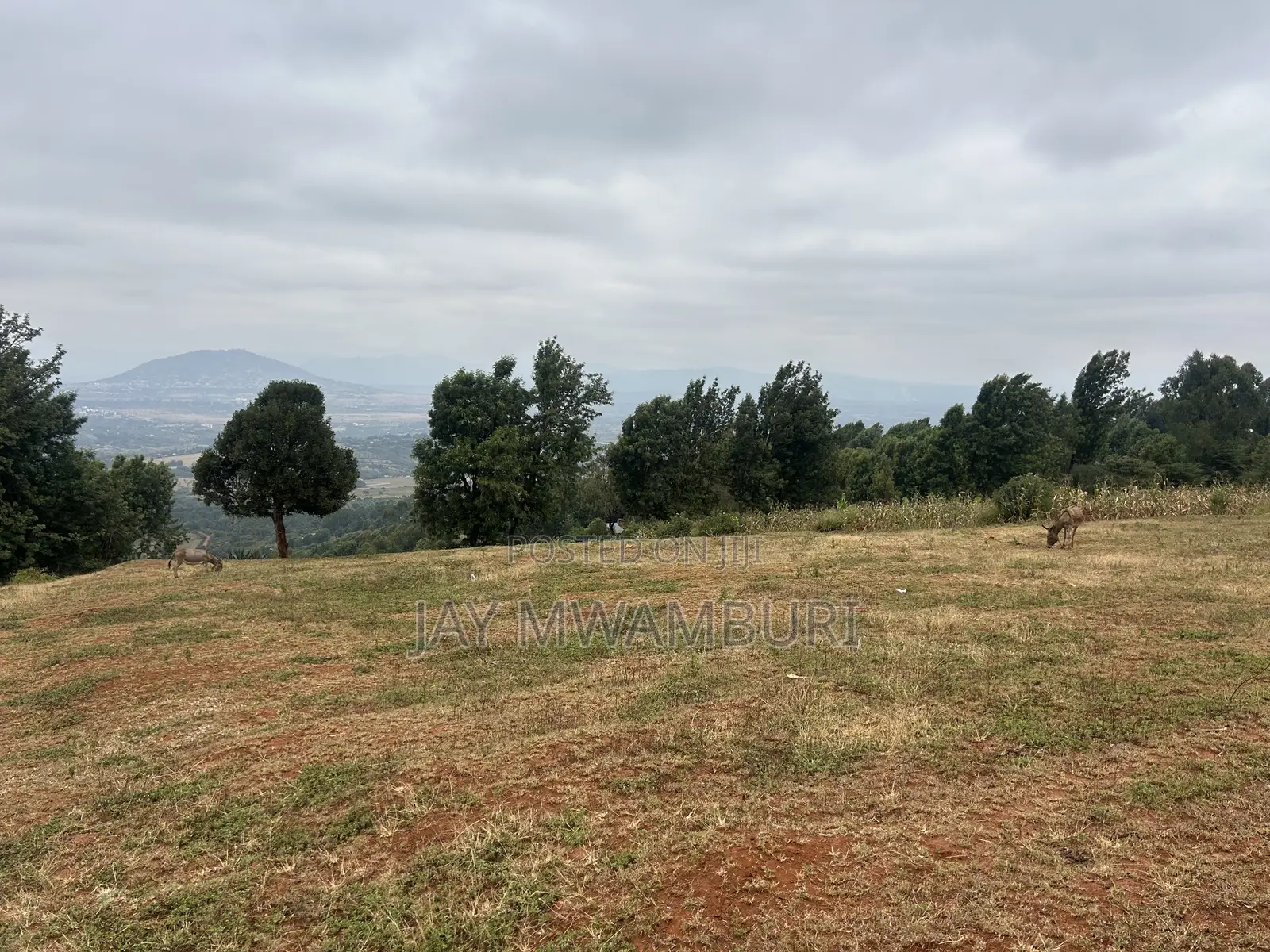 Five Acres Kitanga Mua Hills in Mua Hills