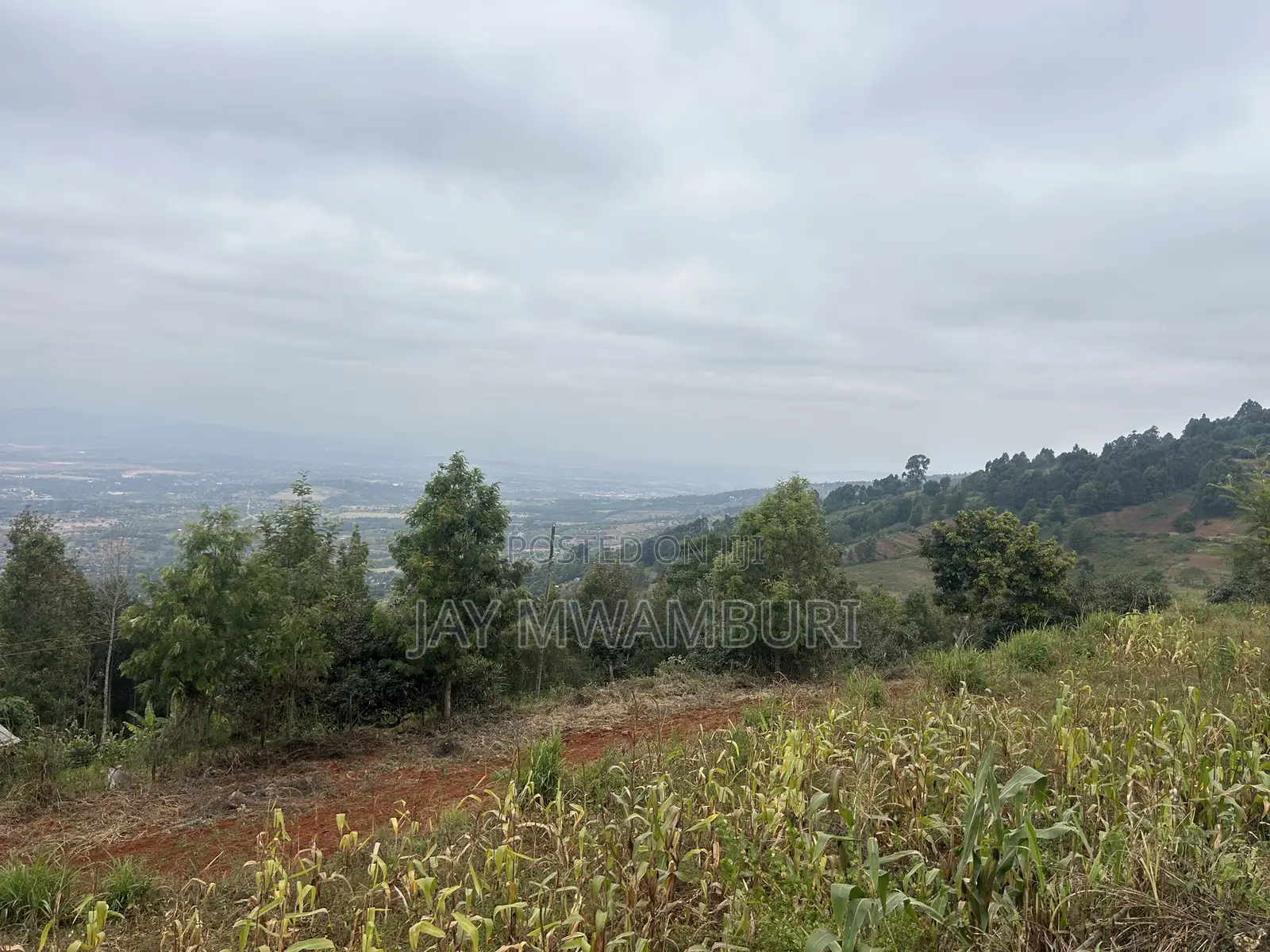 Two Acres Mua Hills Radar in Mua Hills