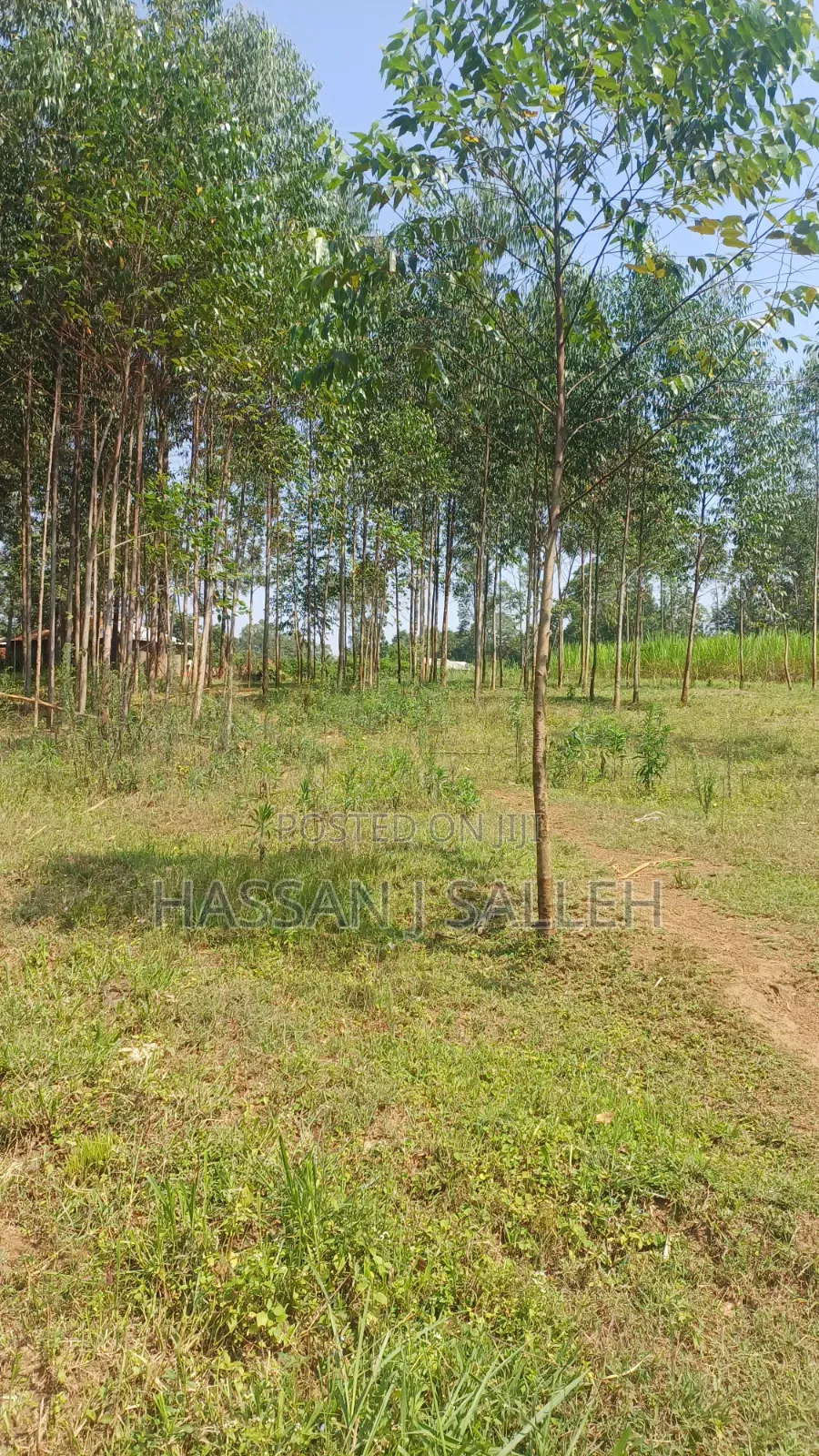 1.5acres Lureko on Sale in Mumias Central