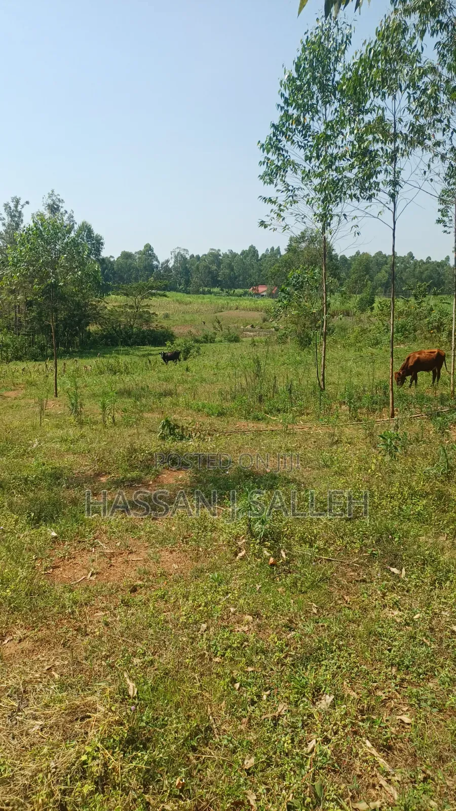 1.5acres Lureko on Sale in Mumias Central