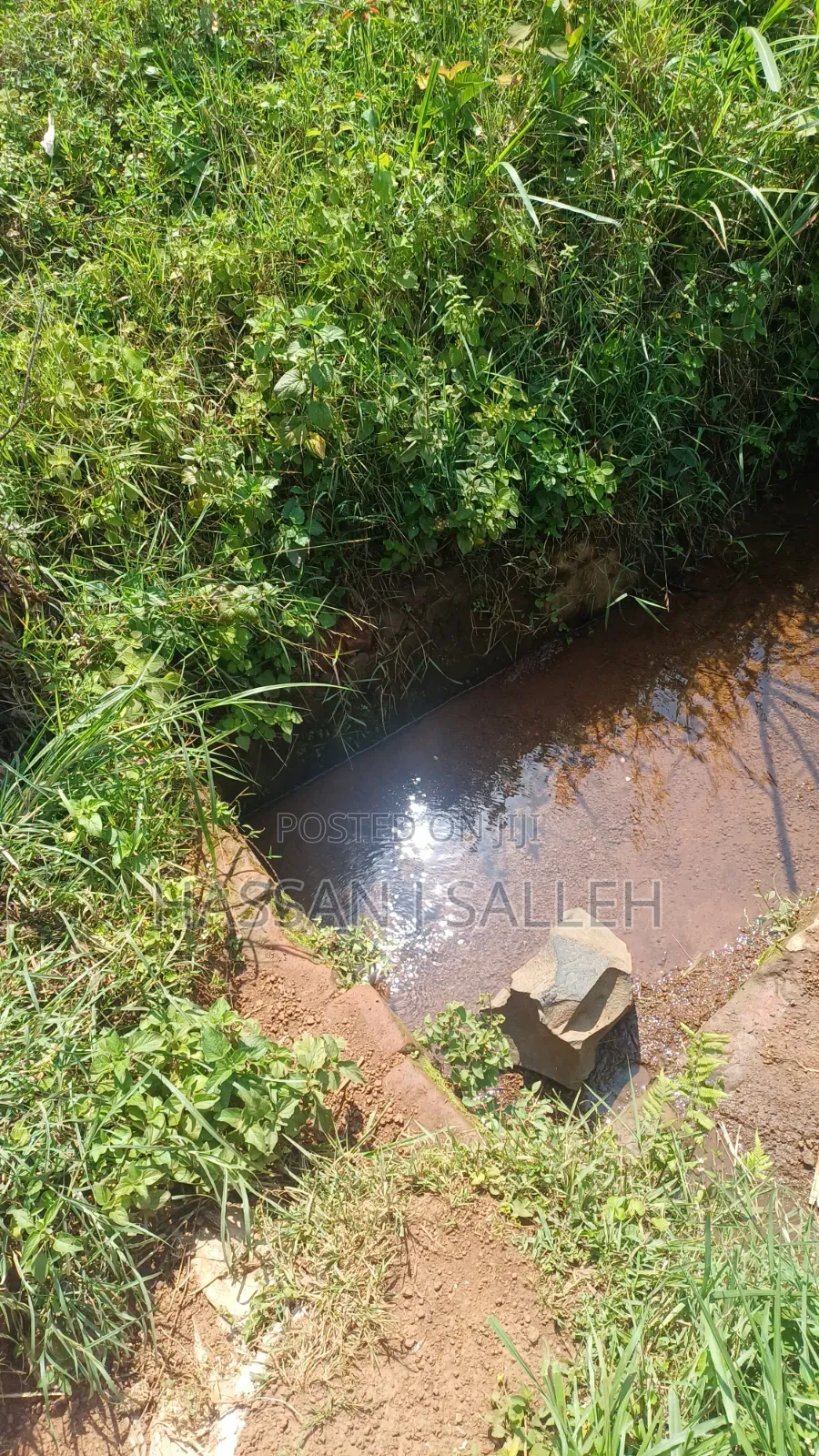 1.5acres Lureko on Sale in Mumias Central