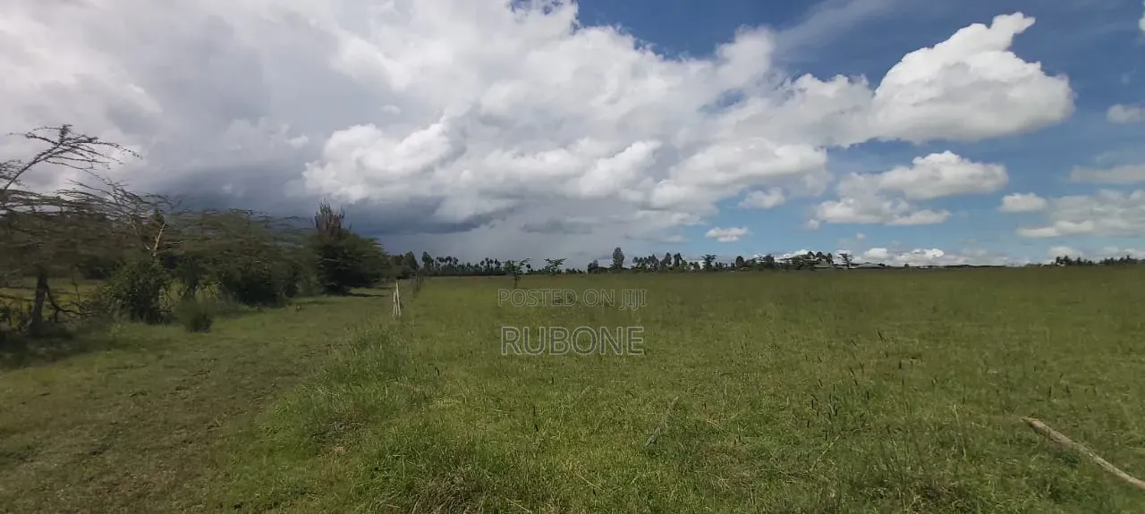 Airport Nanyuki Plots 50*100 Lipa Pole Pole in Nanyuki