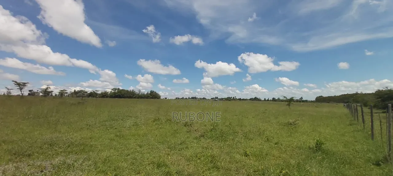 Airport Nanyuki Plots 50*100 Lipa Pole Pole in Nanyuki