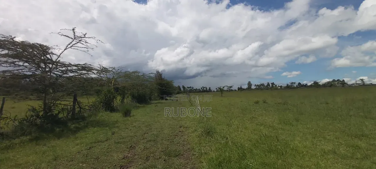 Airport Nanyuki Plots 50*100 Lipa Pole Pole in Nanyuki