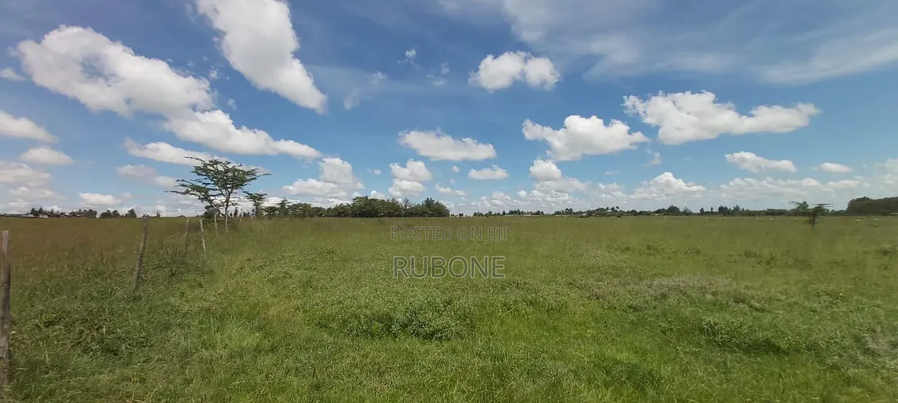 Airport Nanyuki Plots 50*100 Lipa Pole Pole in Nanyuki