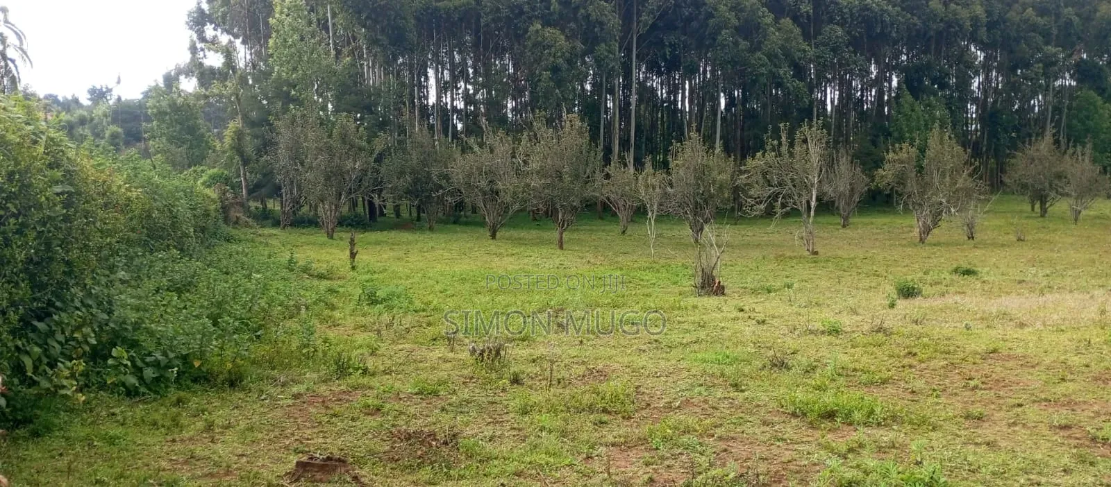 PRIME 3.8 Acres With Old Hotel Fronting Thika Supper High Way in Thika CBD