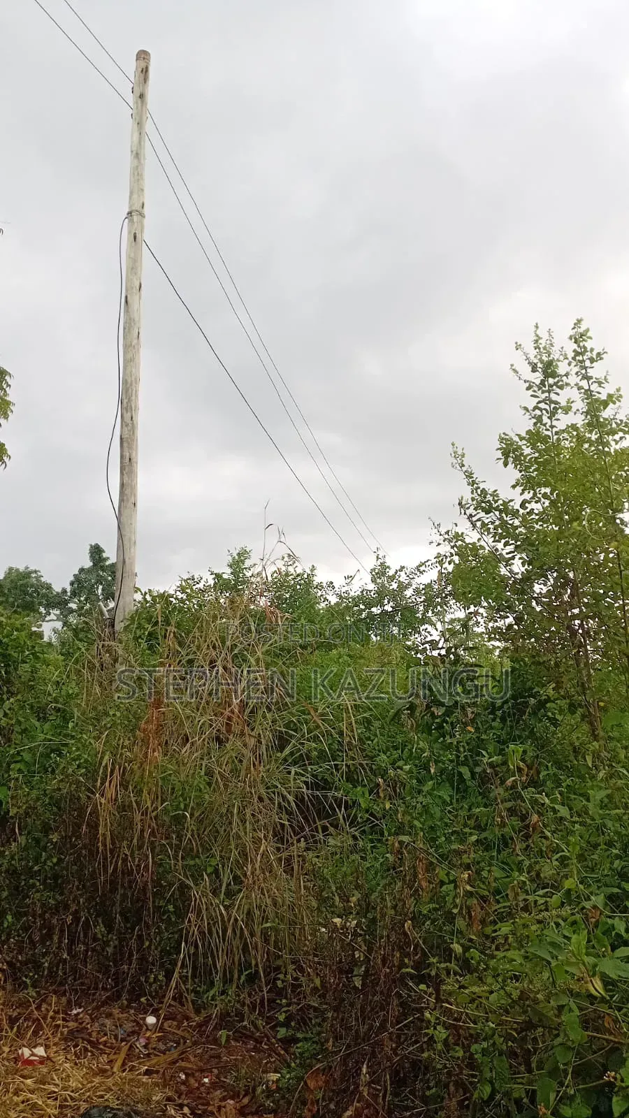 2nd Row 1/2 Acre Plot at Galu Beach Near the Beach. in Ukunda