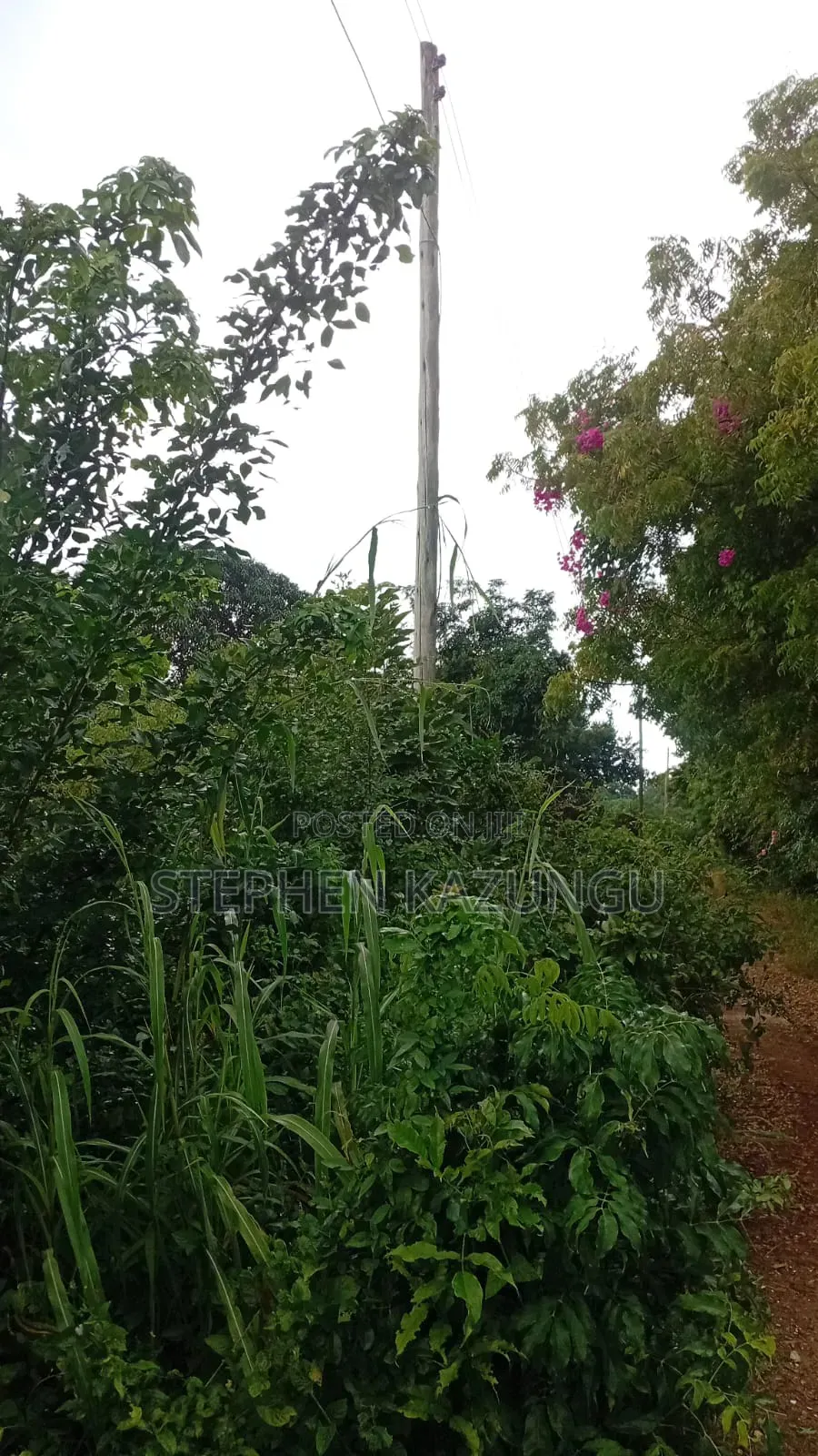 2nd Row 1/2 Acre Plot at Galu Beach Near the Beach. in Ukunda