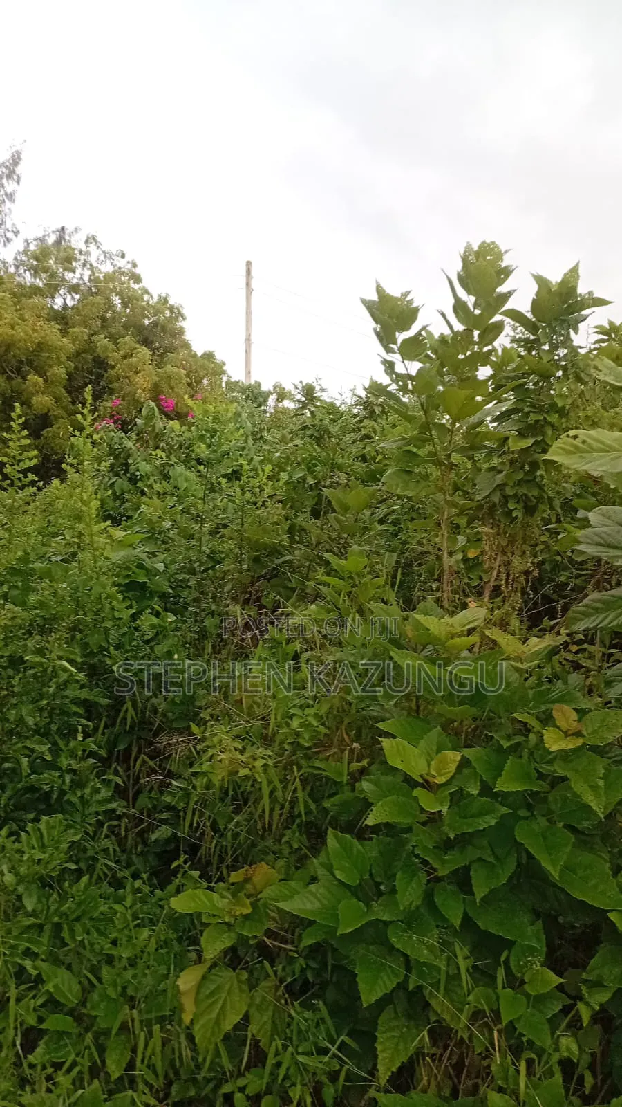 2nd Row 1/2 Acre Plot at Galu Beach Near the Beach. in Ukunda