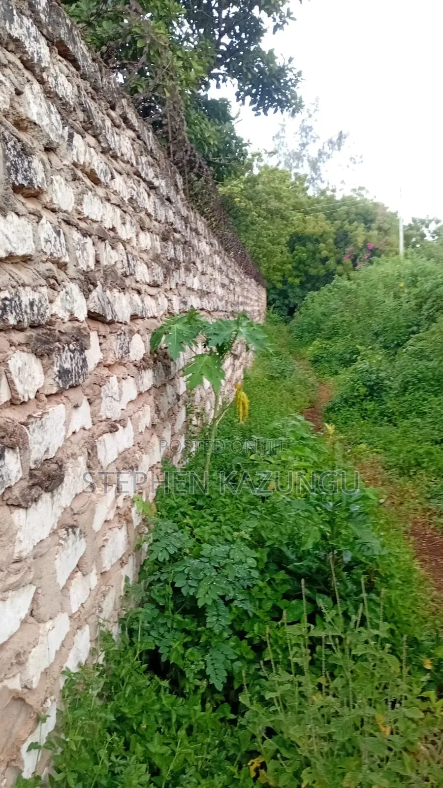 2nd Row 1/2 Acre Plot at Galu Beach Near the Beach. in Ukunda