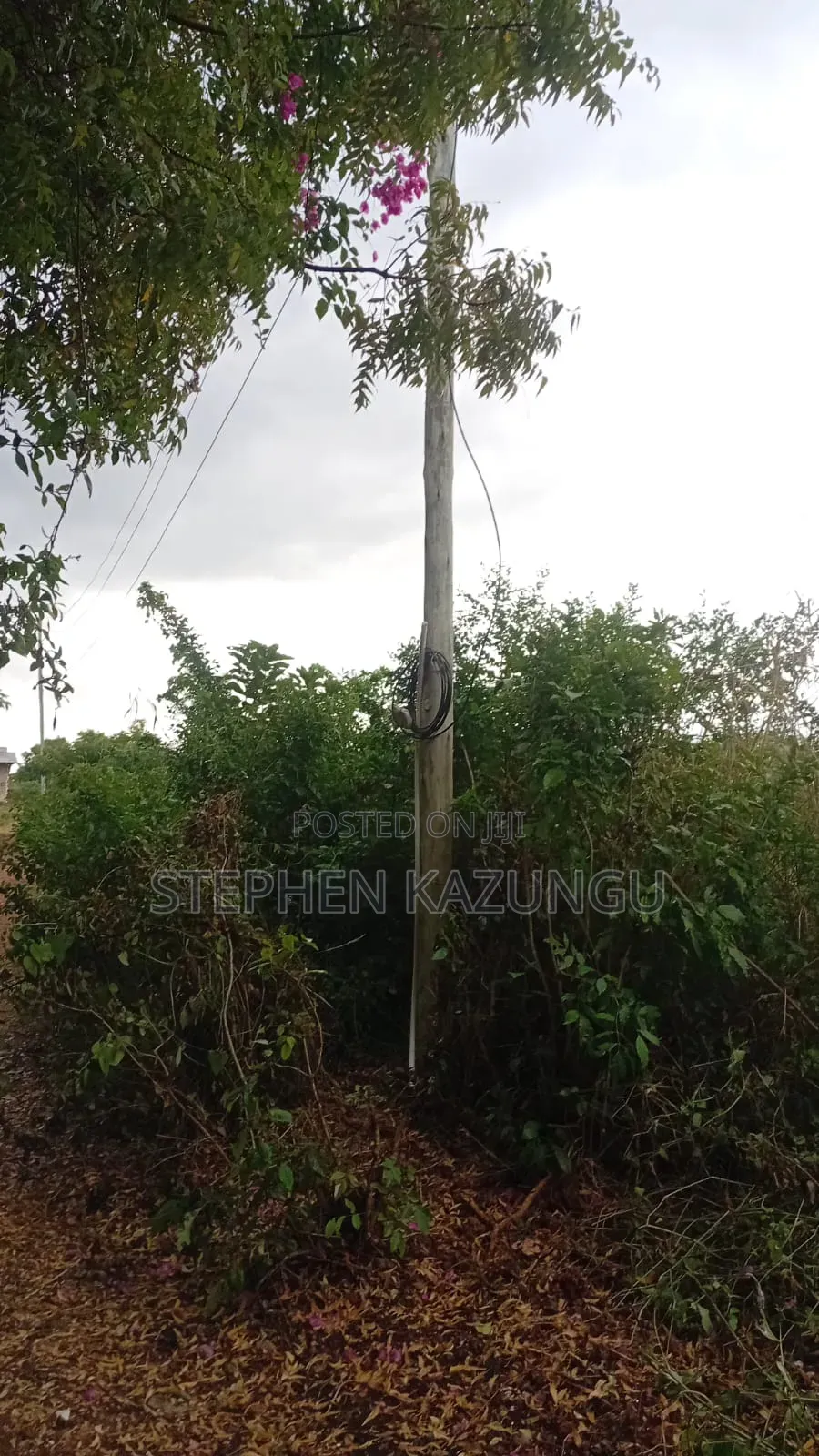 2nd Row 1/2 Acre Plot at Galu Beach Near the Beach. in Ukunda