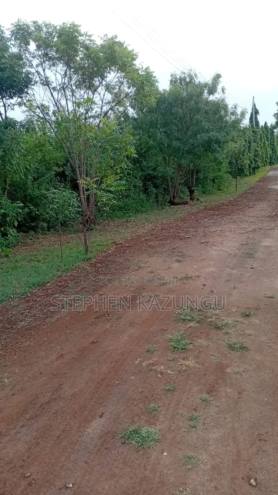 2nd Row's End 1/4 Acre Plot Size in Galu Beach Near Almanara Hotel. in Ukunda