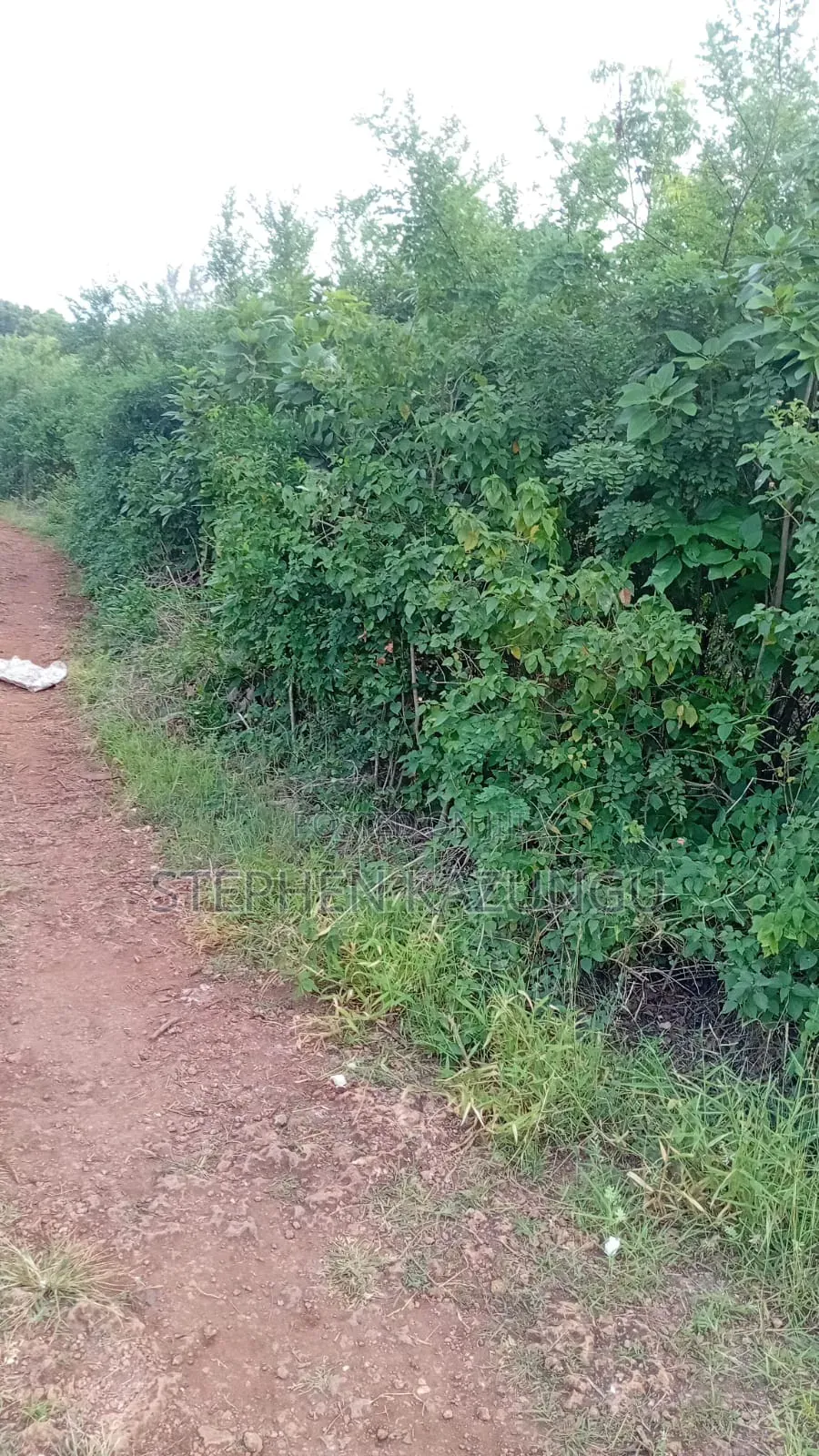 2nd Row's End 1/4 Acre Plot Size in Galu Beach Near Almanara Hotel. in Ukunda