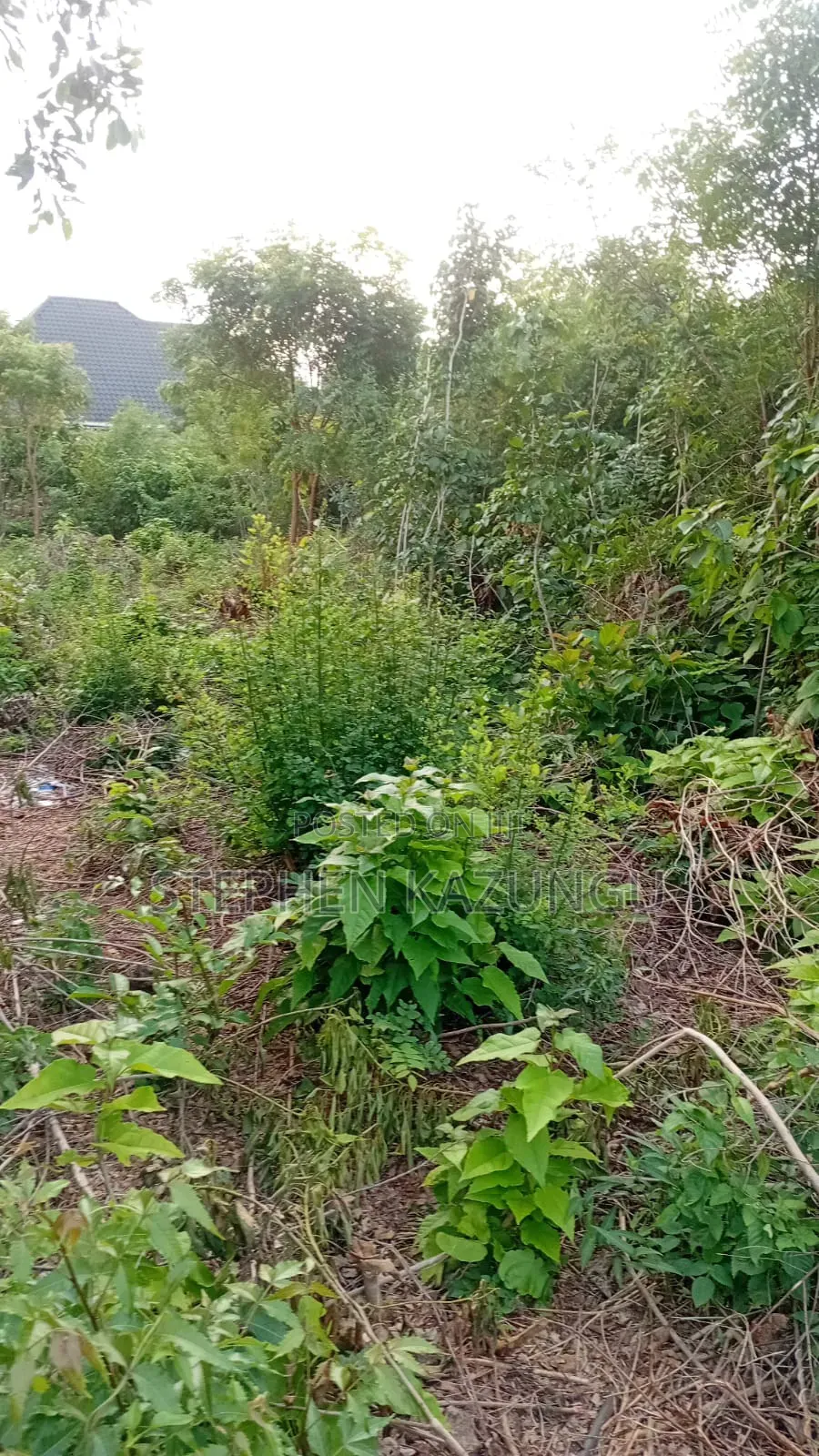 2nd Row's End 1/4 Acre Plot Size in Galu Beach Near Almanara Hotel. in Ukunda