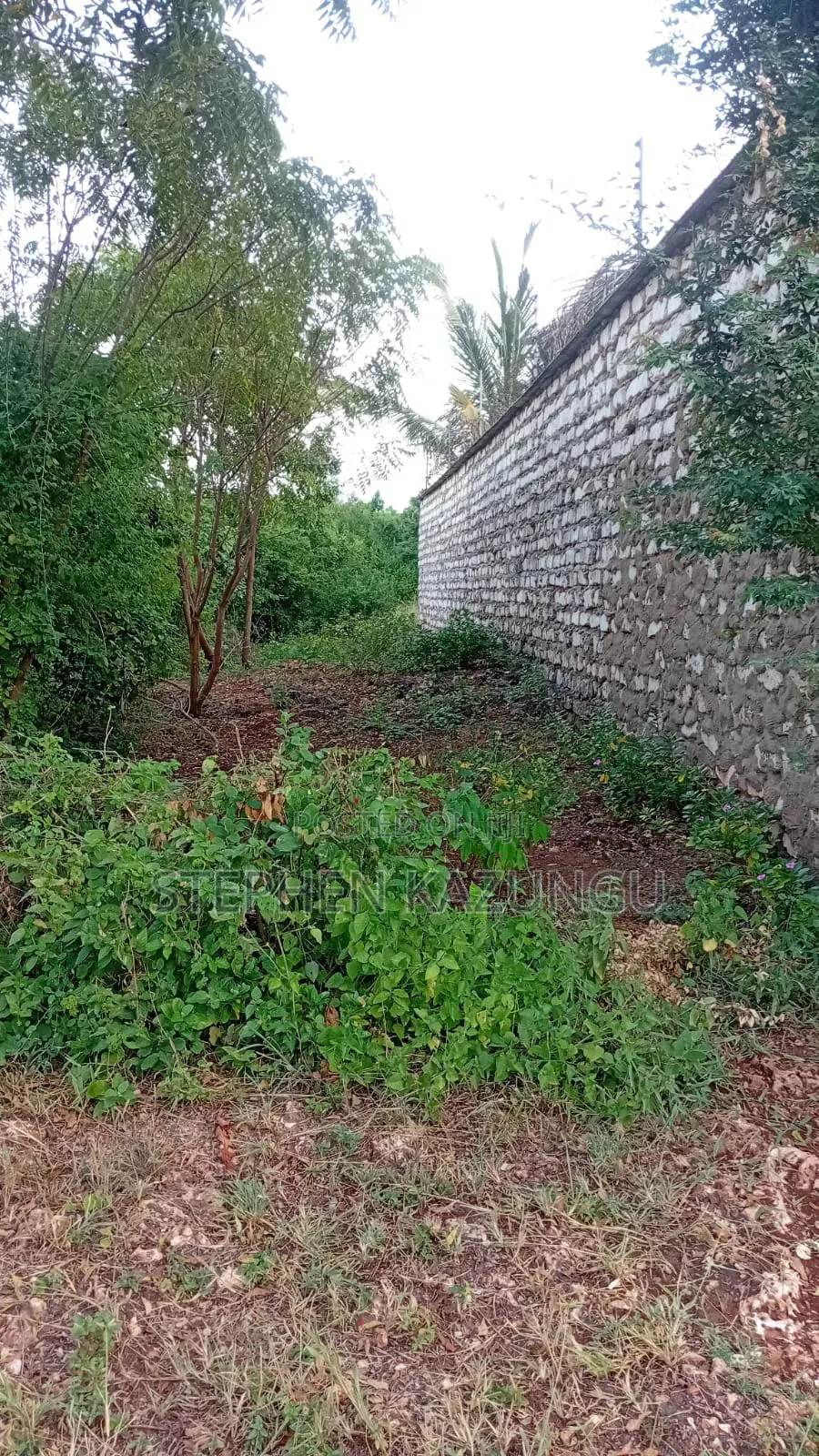 2nd Row's End 1/4 Acre Plot Size in Galu Beach Near Almanara Hotel. in Ukunda