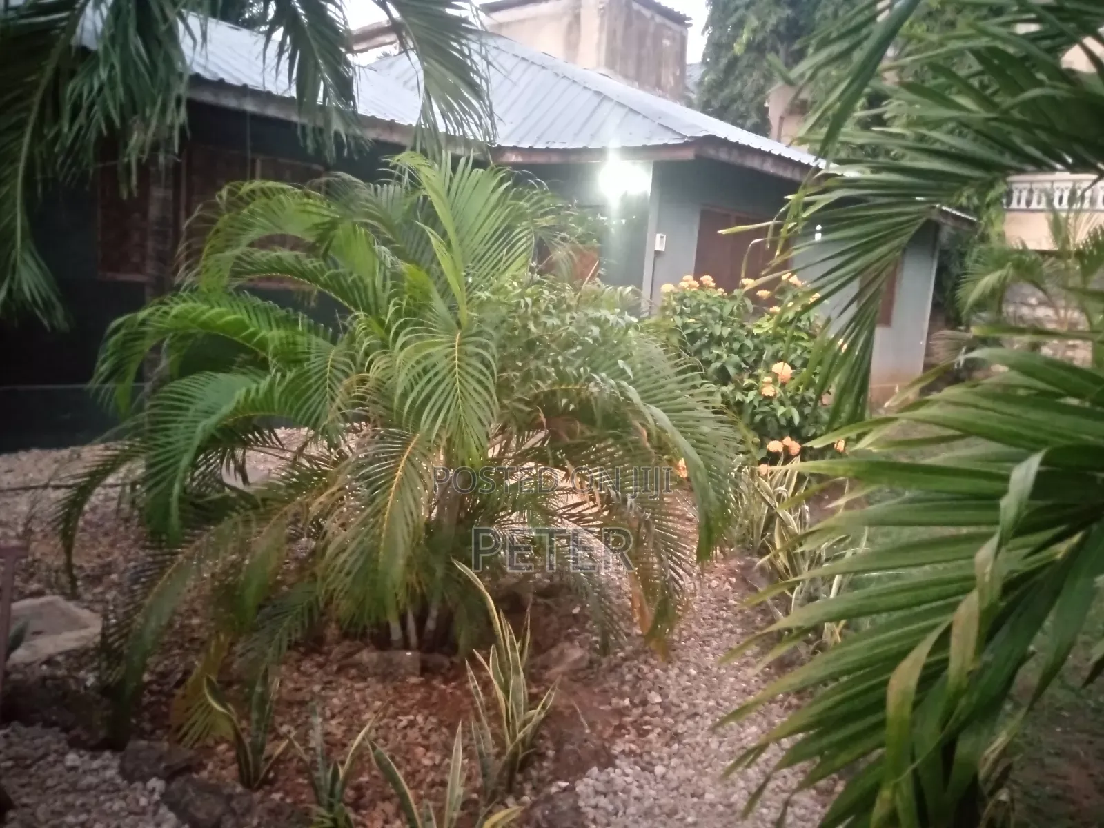 Two Bedroom Bungalow in Diani