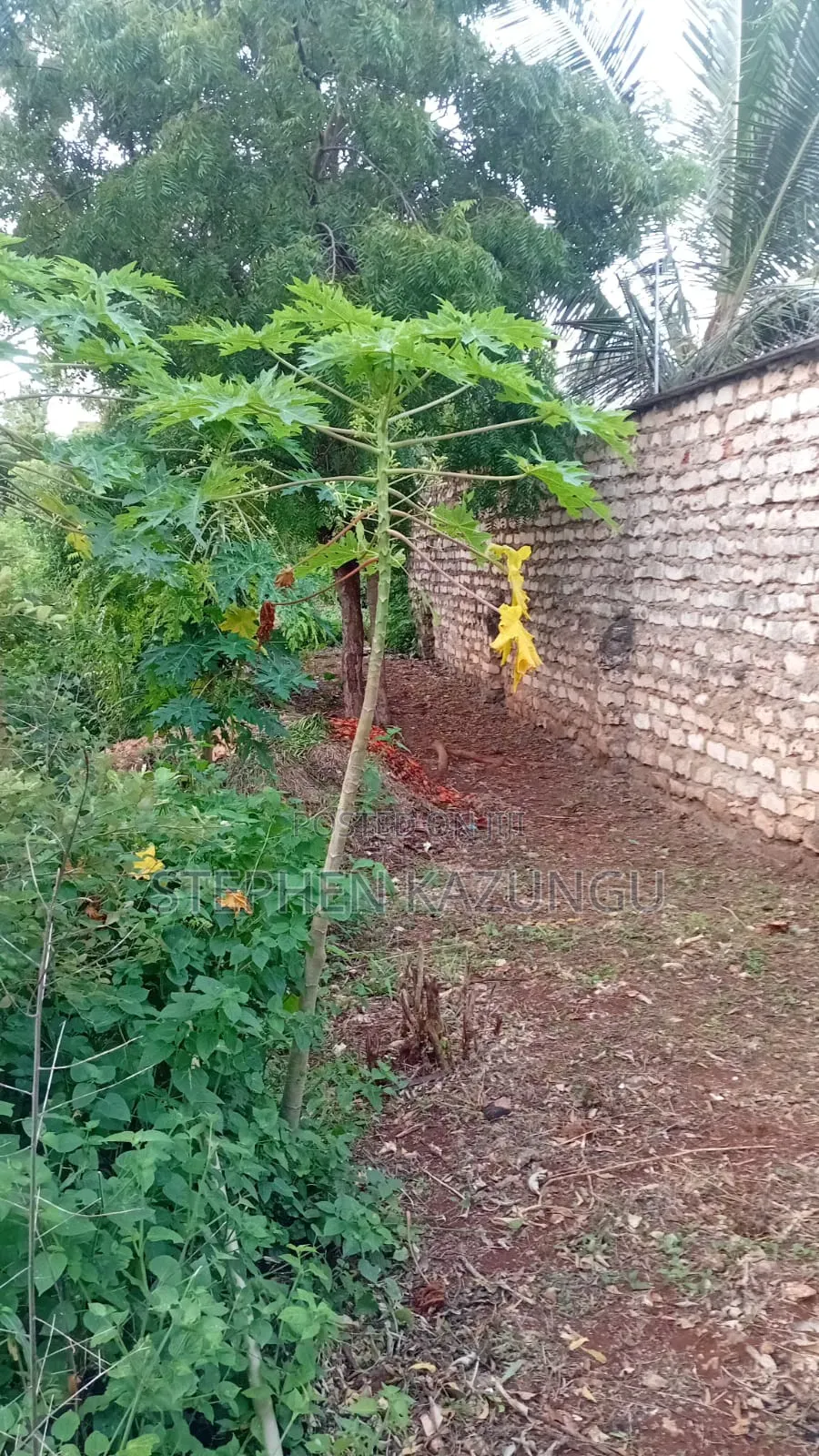 Spacious 1/4 Acre Plot at Galu Beach Near the Beach in Ukunda
