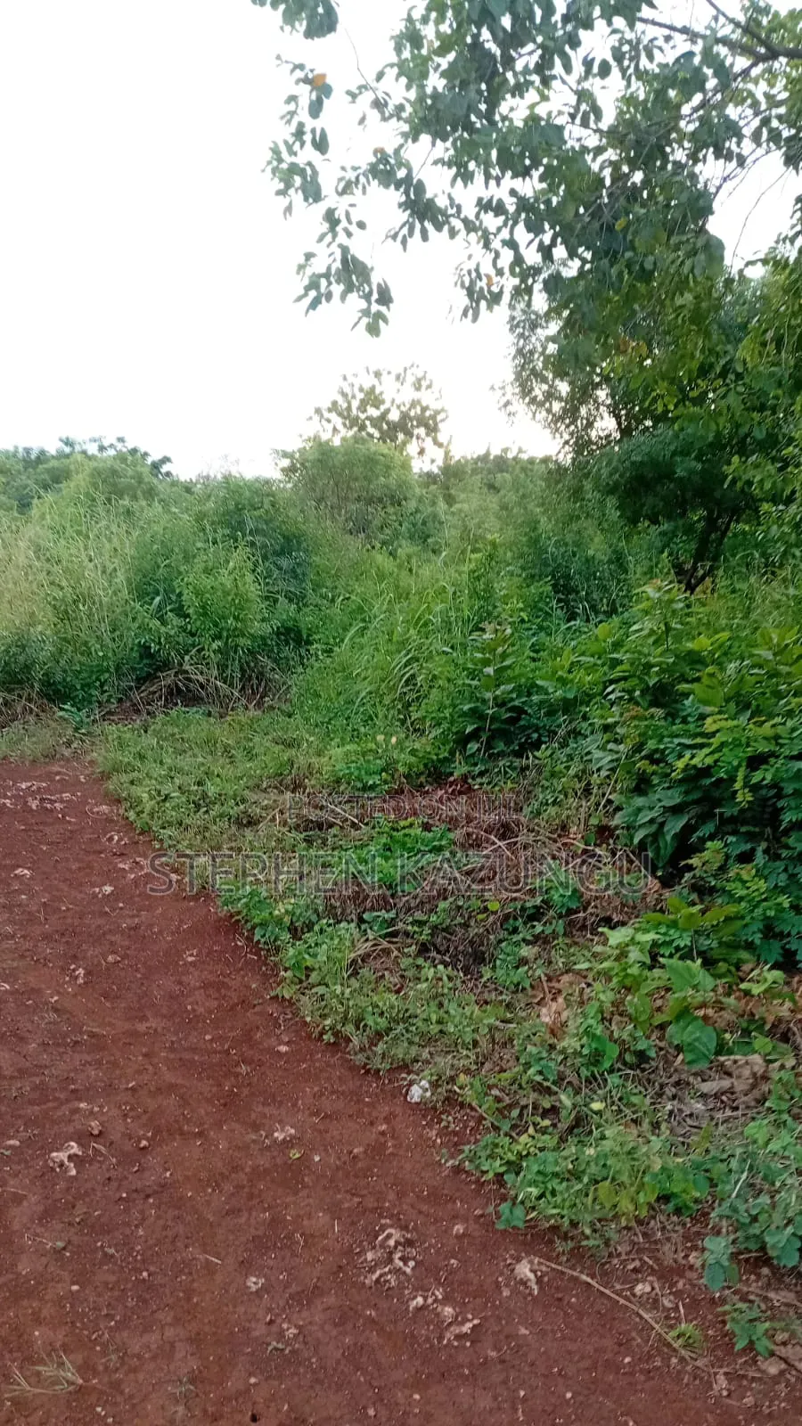 Spacious 1/4 Acre Plot at Galu Beach Near the Beach in Ukunda