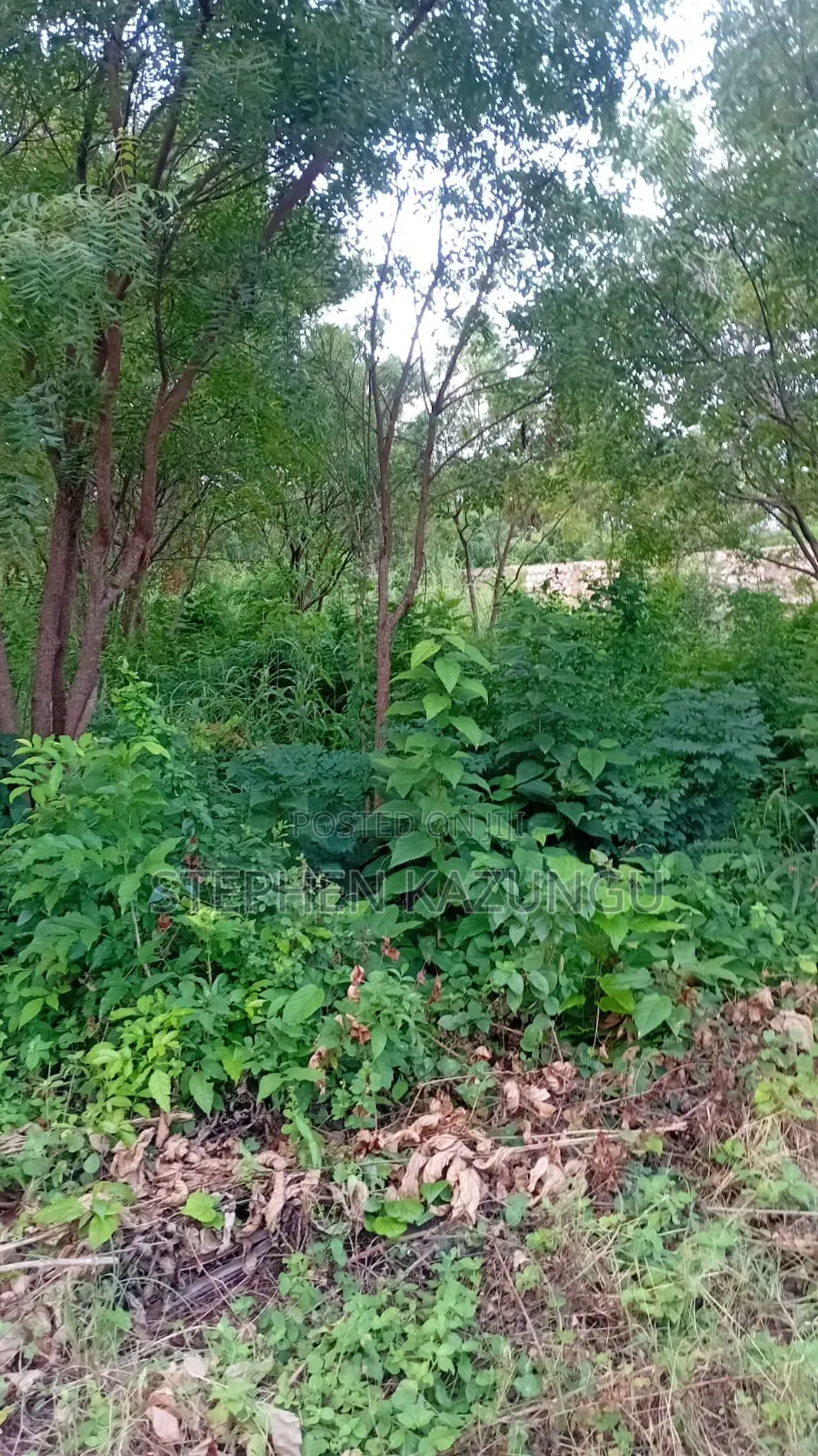 Spacious 1/4 Acre Plot at Galu Beach Near the Beach in Ukunda