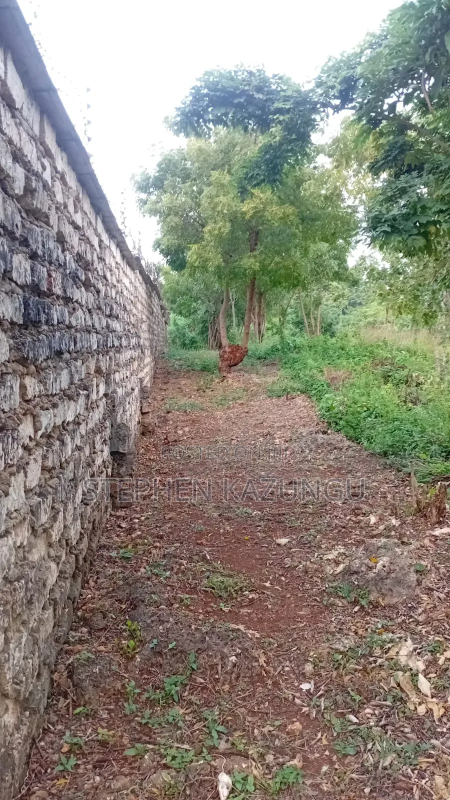 Galu's 2nd Row's End; 1/4 Acre Plot at Galu Beach Near the Beach. in Ukunda