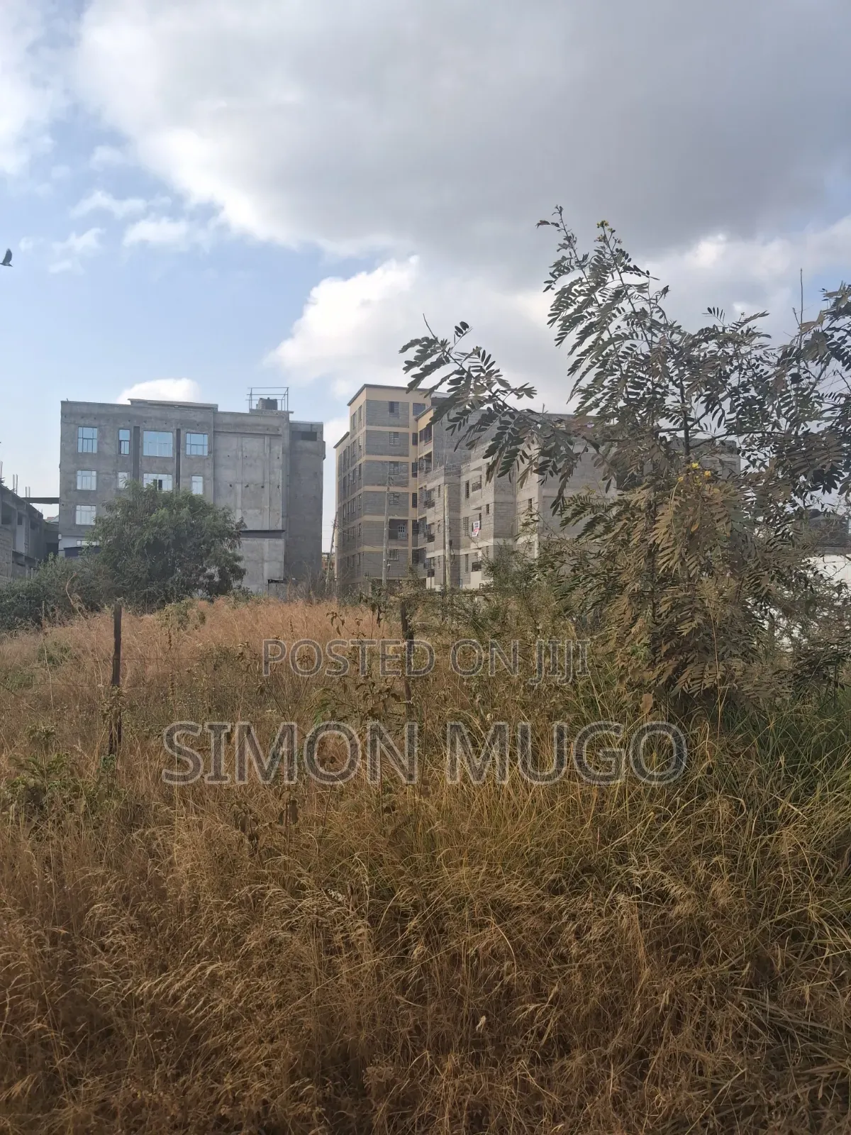 Vasity Ville Estate Kamakis Commercial 50x100 Corner Plot Ready Title in Kamakis