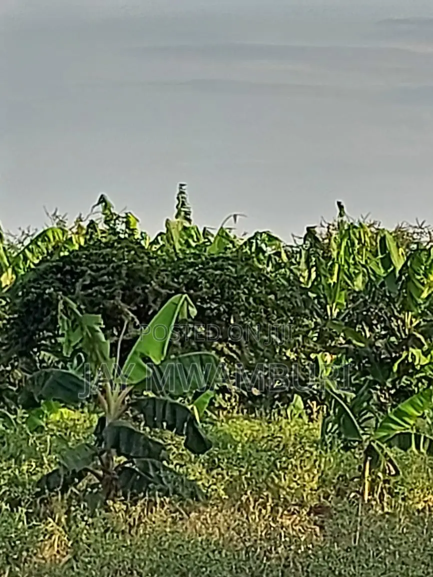110 Acres Ready Farm Emali in Emali/Mulala