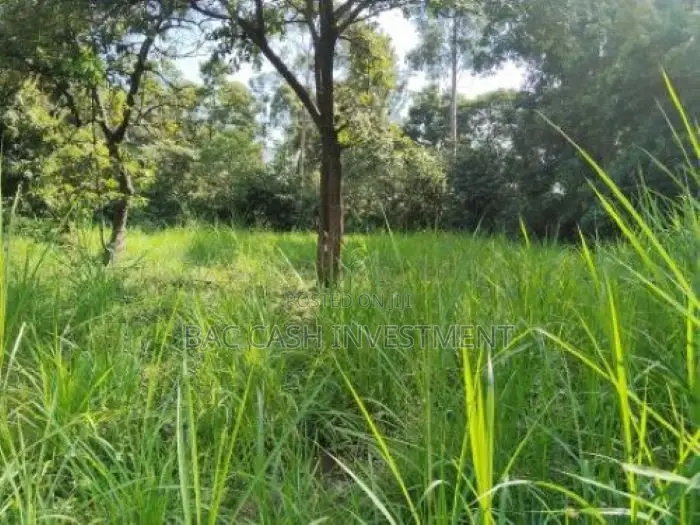 1/2acre Land/Plots for Sale in Kakamega in Sheywe