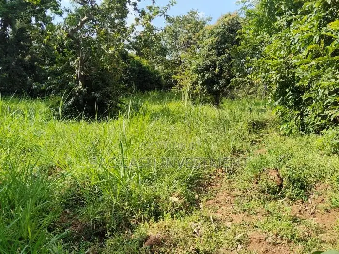 1/2acre Land/Plots for Sale in Kakamega in Sheywe