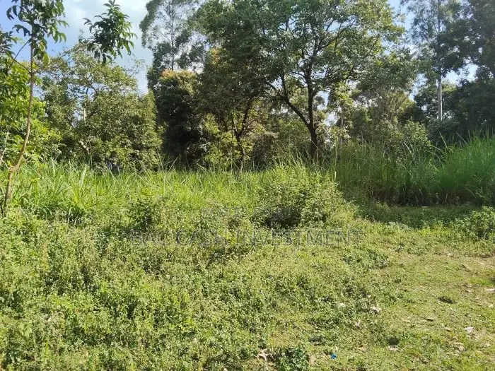 1/2acre Land/Plots for Sale in Kakamega in Sheywe