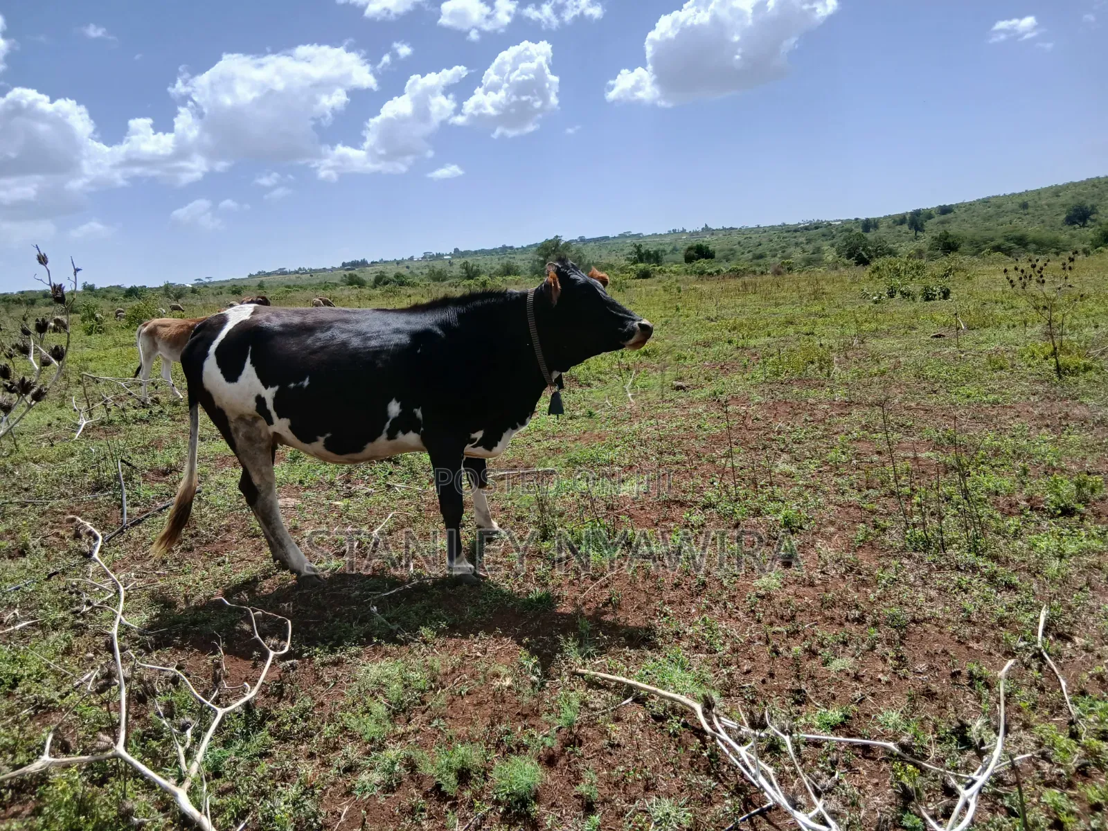 83 Acrea 6km From Nyeri Nyahuru Fronting River in Nanyuki