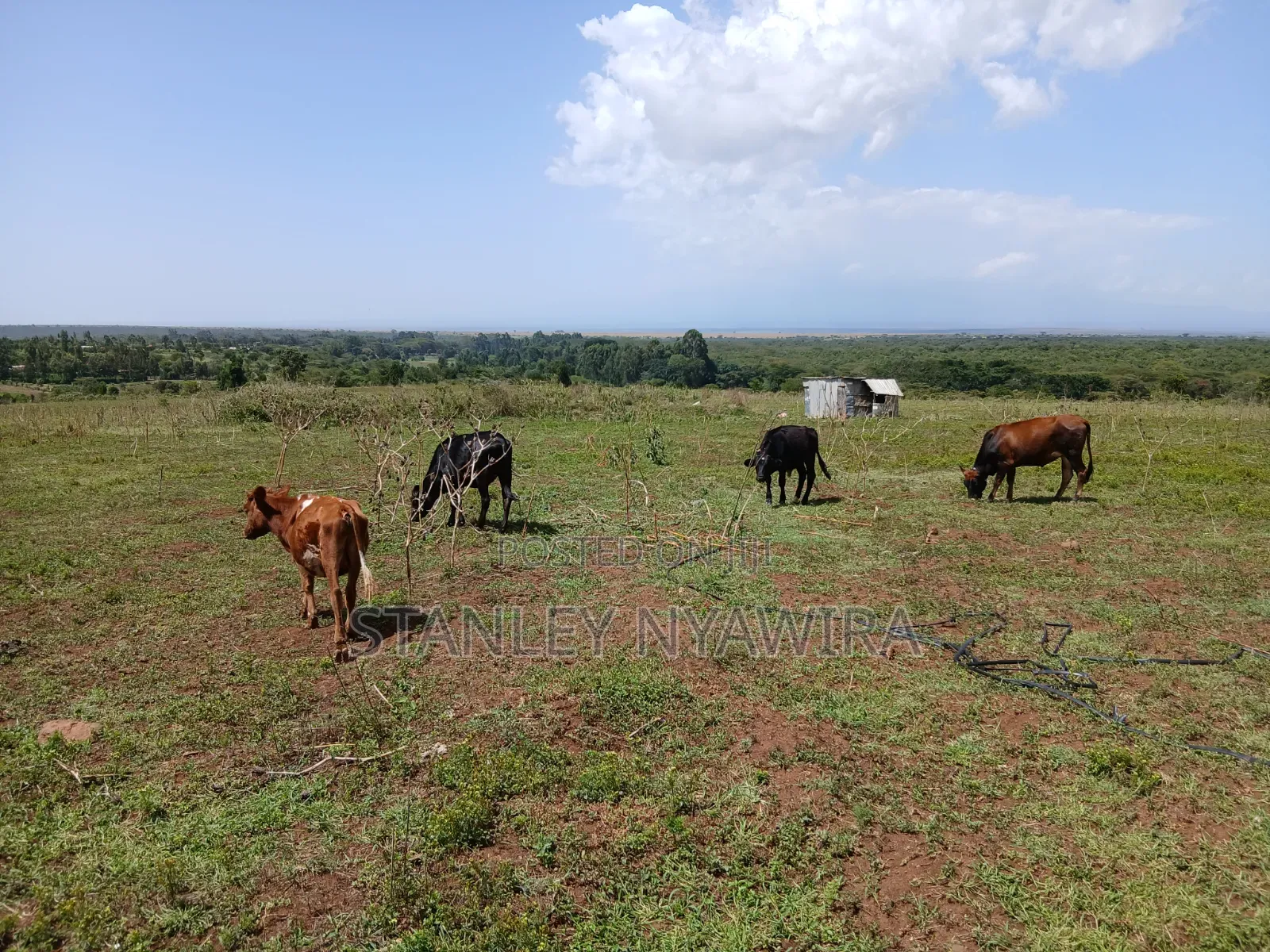 83 Acrea 6km From Nyeri Nyahuru Fronting River in Nanyuki