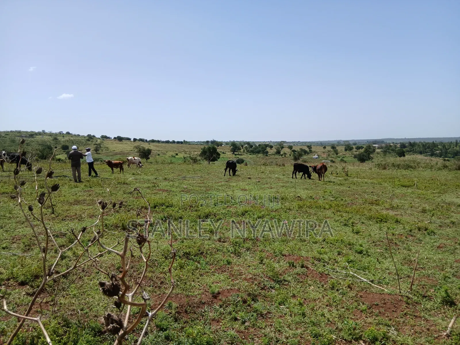 83 Acrea 6km From Nyeri Nyahuru Fronting River in Nanyuki