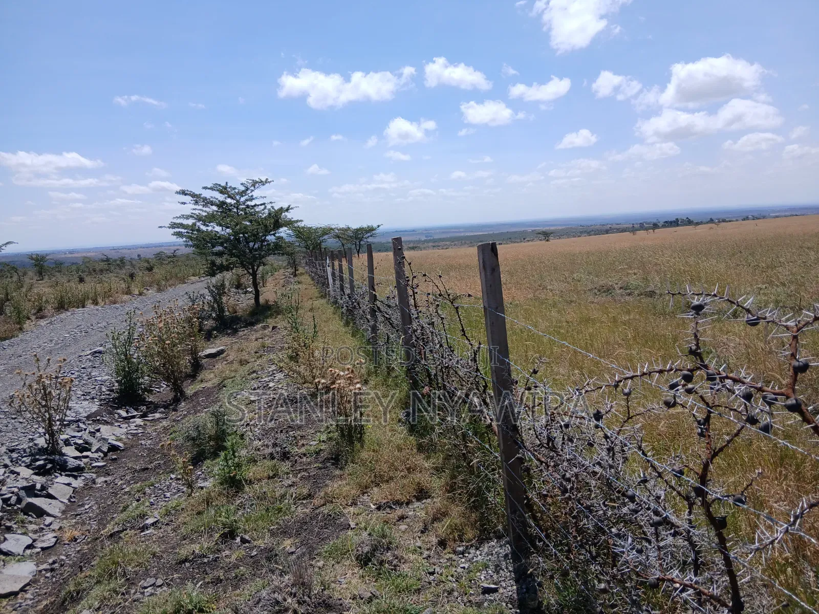 100 Acreas Gobit Nayuki in Nanyuki