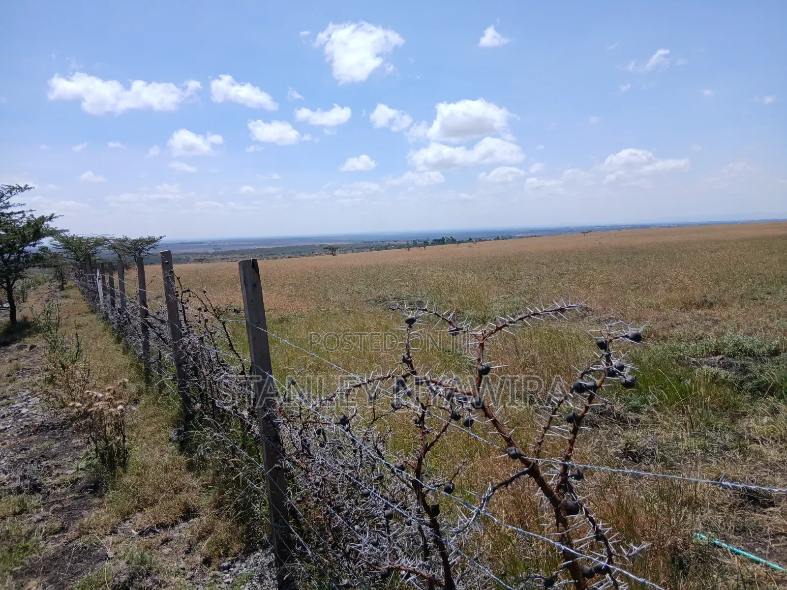 100 Acreas Gobit Nayuki in Nanyuki
