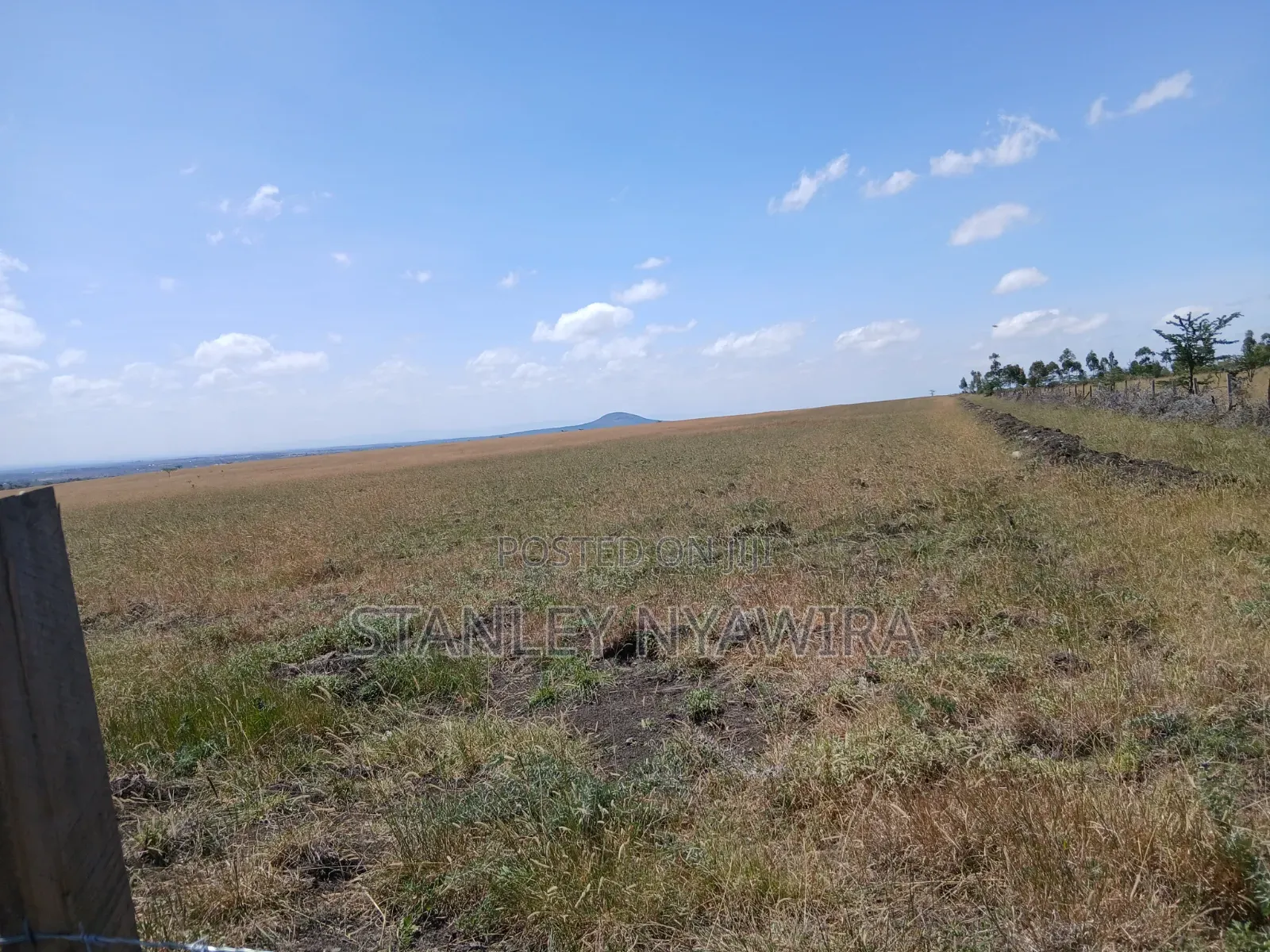 100 Acreas Gobit Nayuki in Nanyuki