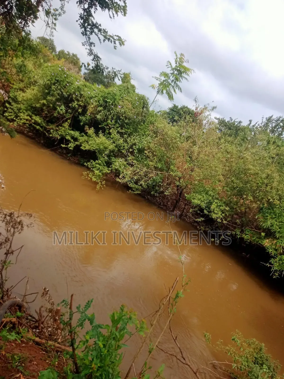 6 Acres on Sale at Murang'a-Kambirwa in Wangu