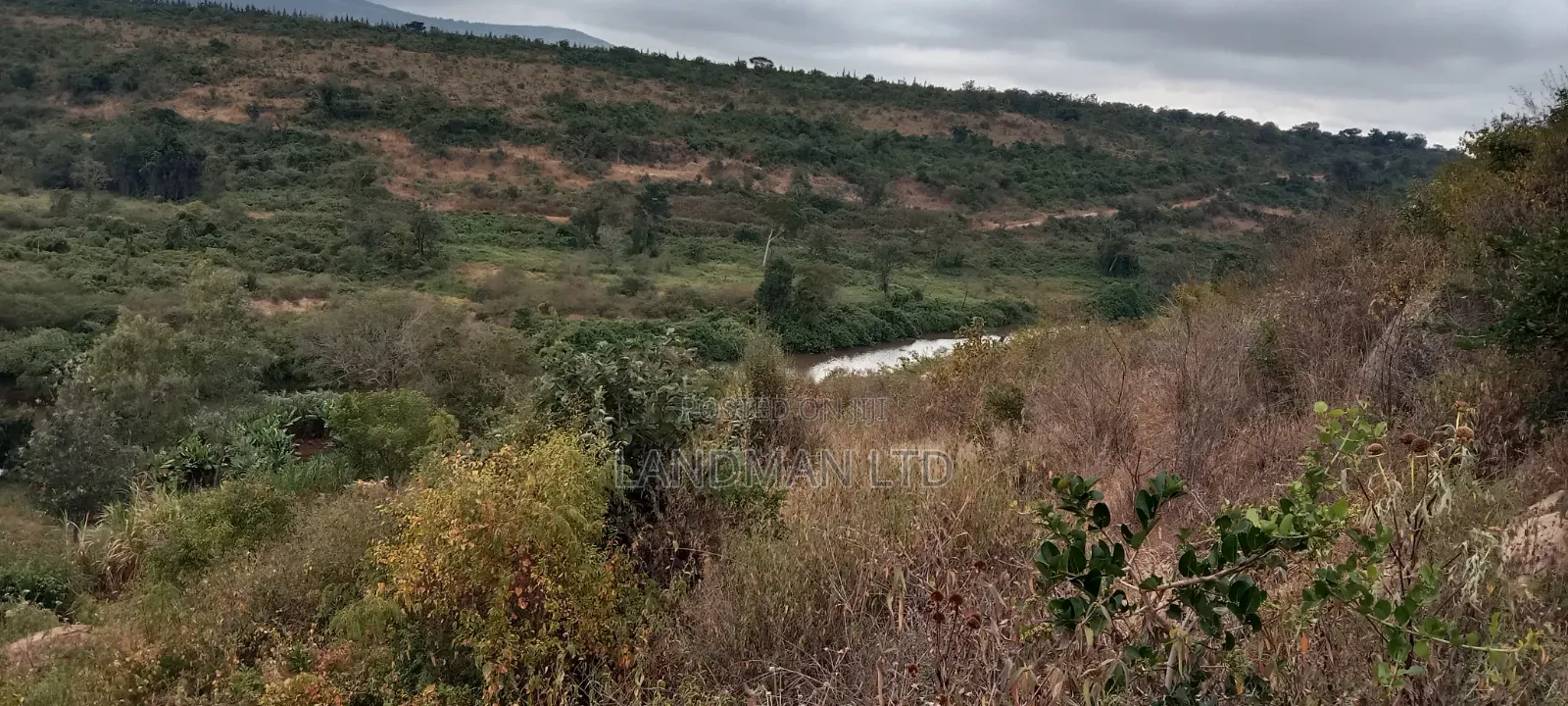 8 Acres Thika Kilimambogo in Ngoliba
