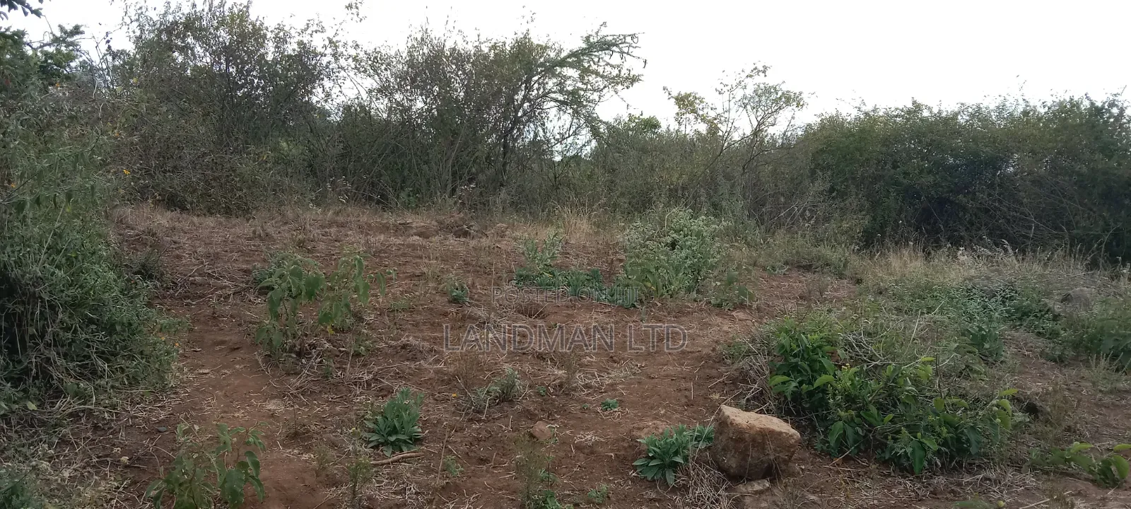 8 Acres Thika Kilimambogo in Ngoliba