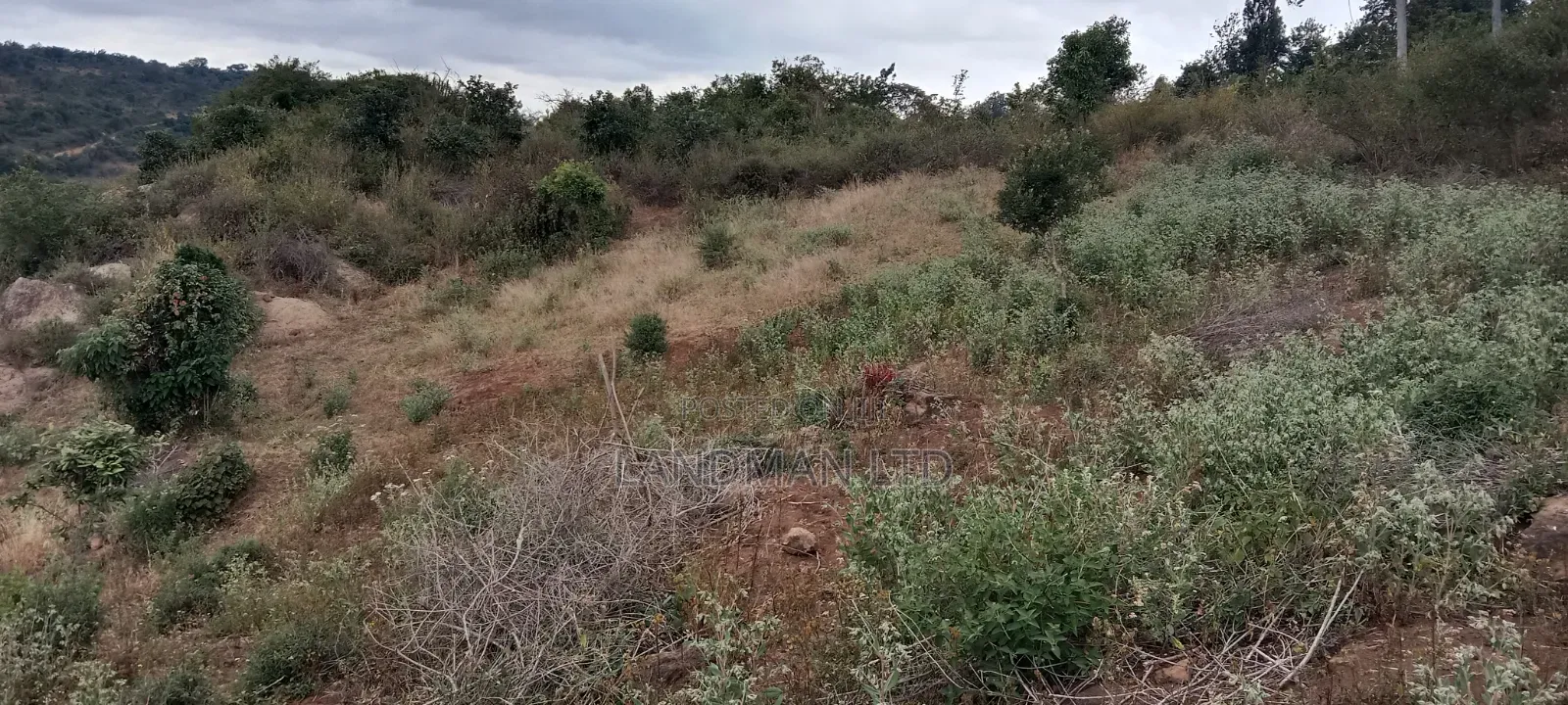 8 Acres Thika Kilimambogo in Ngoliba