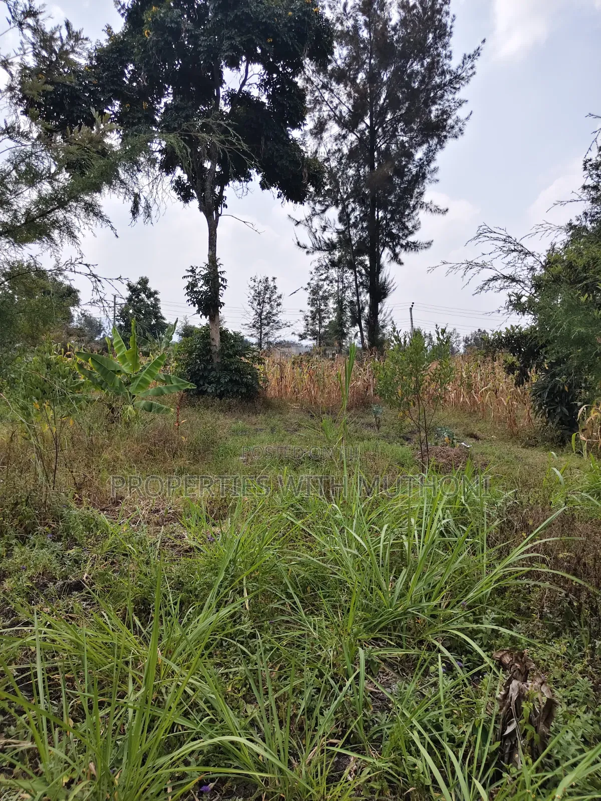 1 Acre for Sale in Kiserian in Kiserian