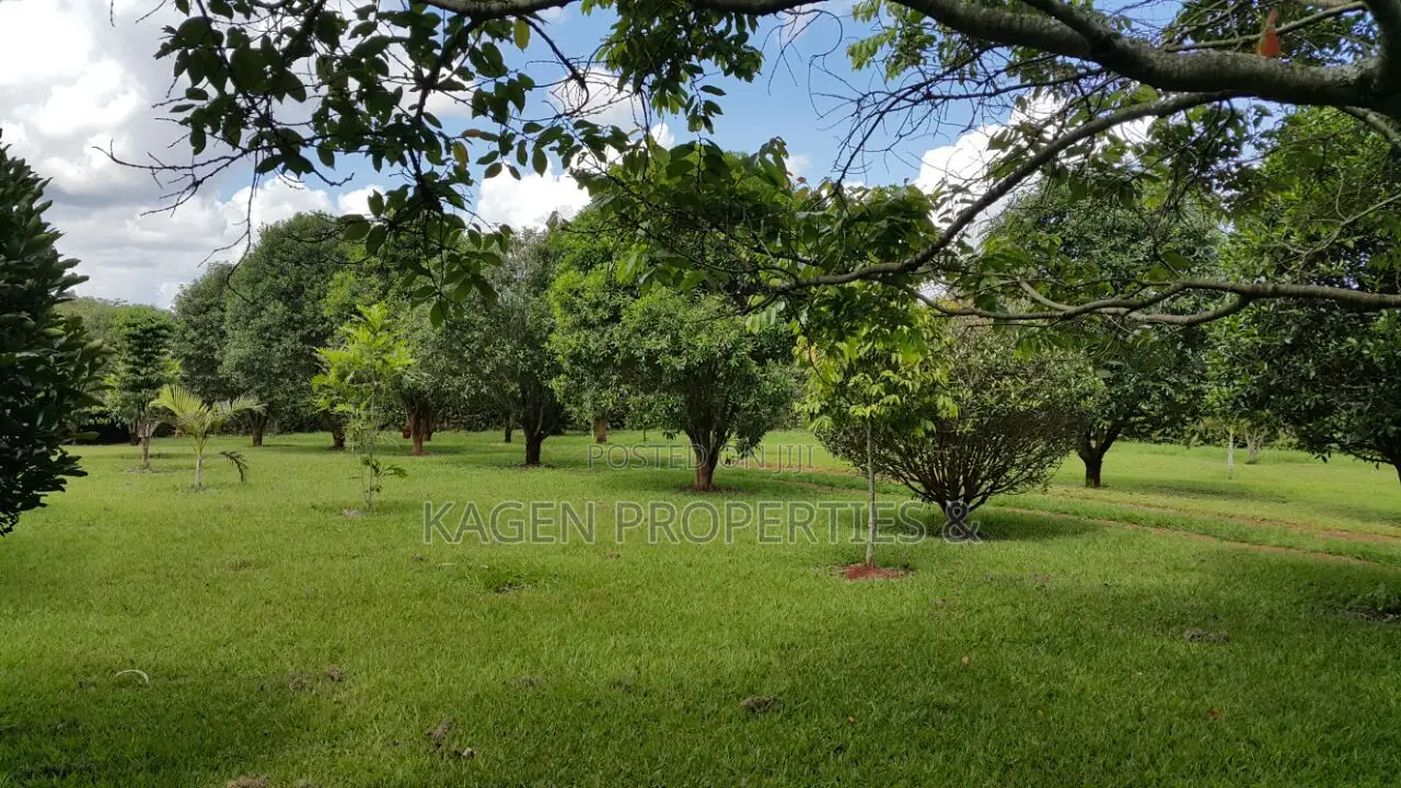 5 Acres Land With 4 Bedroom House in Kiambu for Sale in Kenyatta Road / Theta 