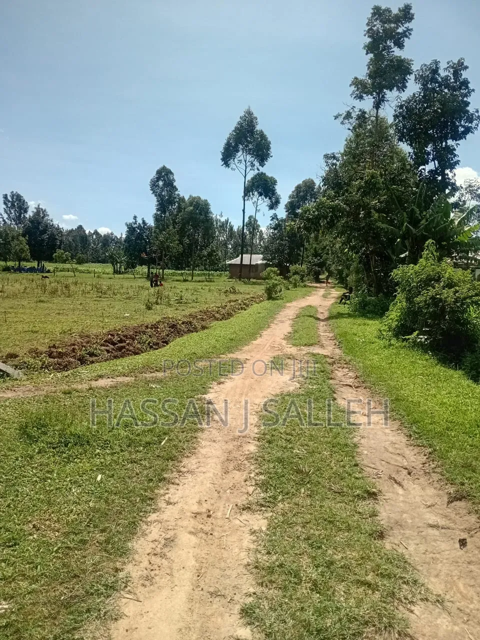 1 Acre in Bungoma. in Bumula