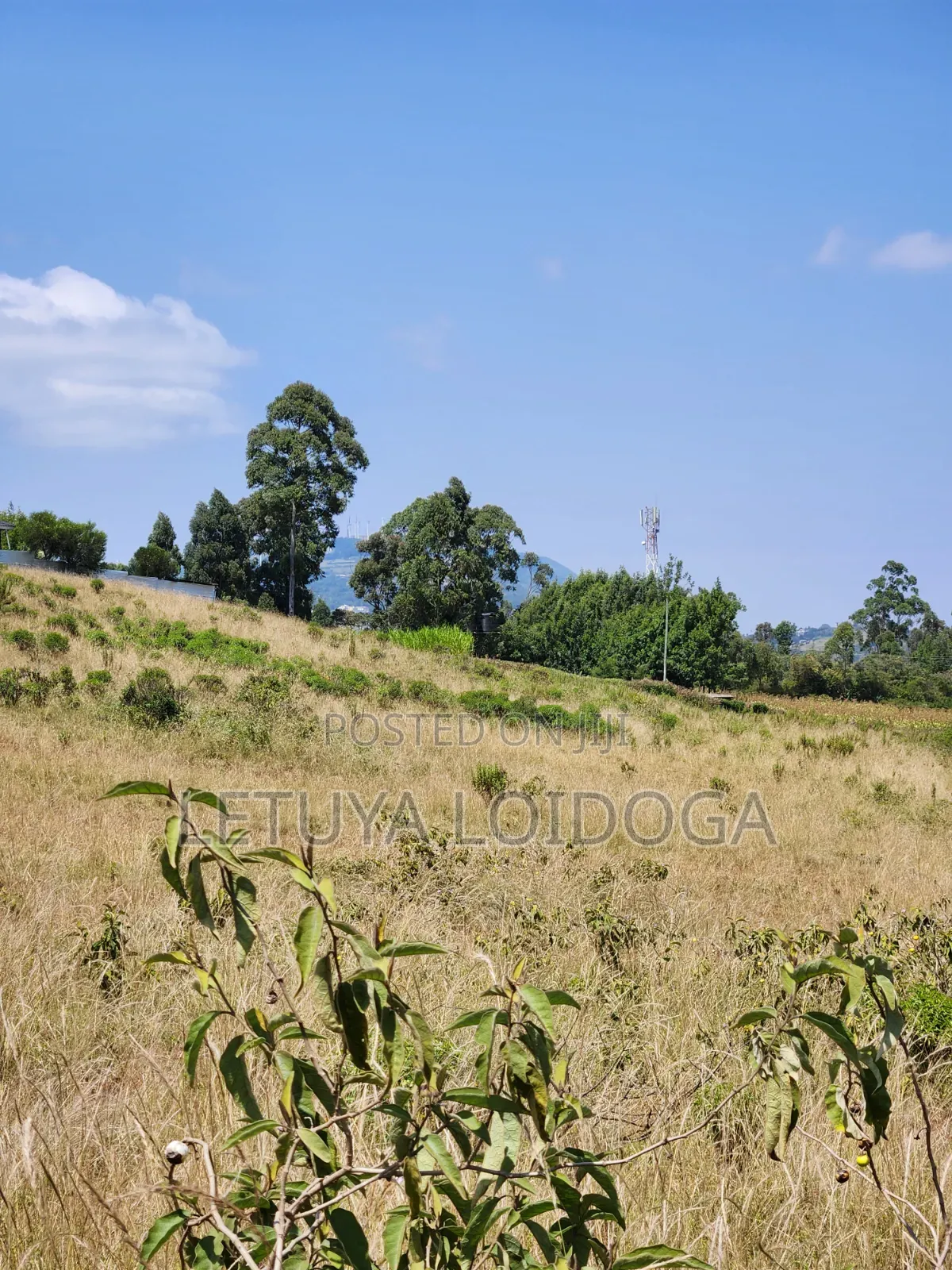 3.8 Acres Ngong-Kibiko Fronting in Kibiku