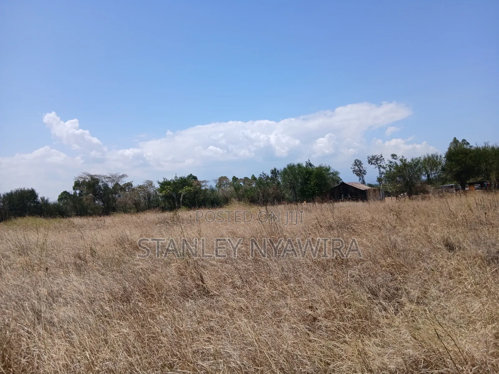 2 Acreas Nanyuki Burgret in Nanyuki