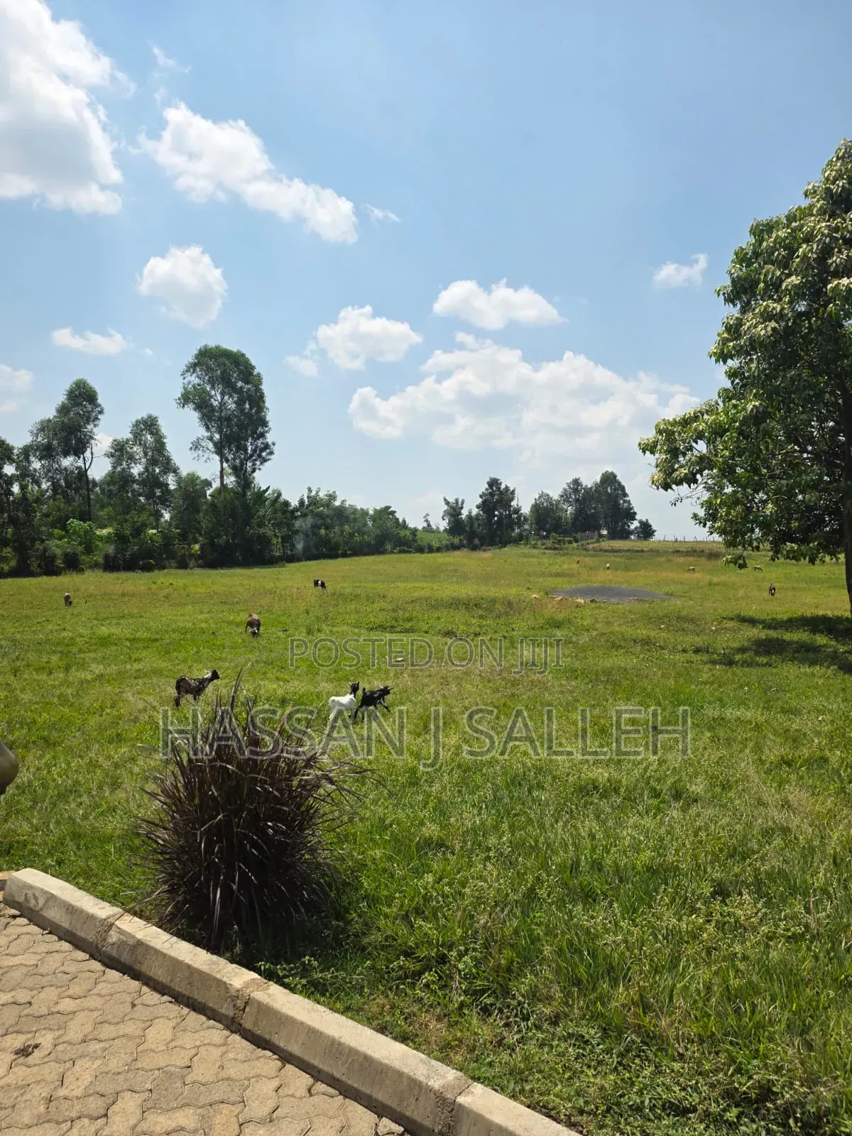 5acres Matungu 4 Sale in Khalaba (Matungu)